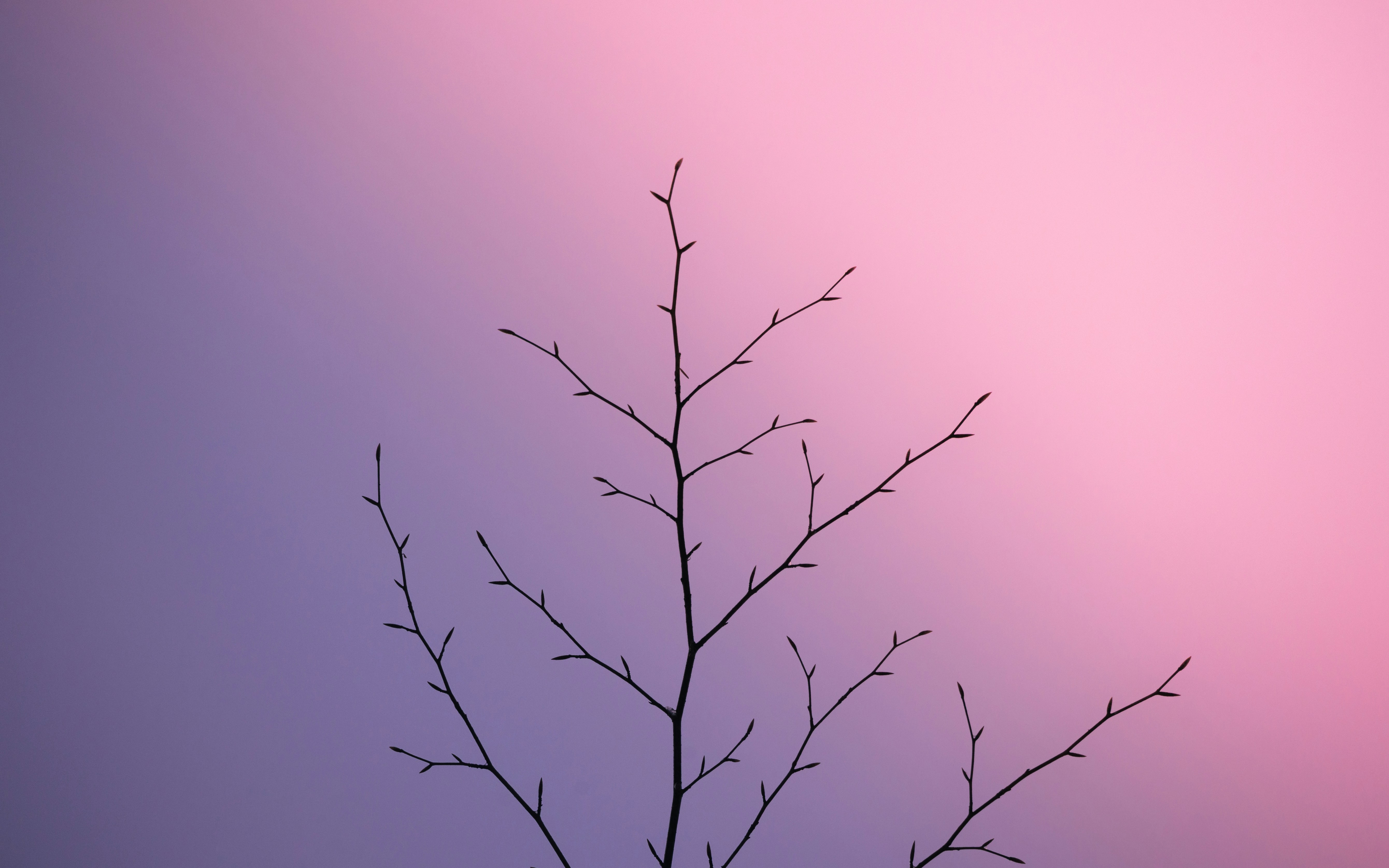 Photo by marekpiwnicki