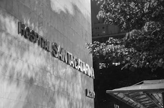 A monochromatic photograph highlighting the facade of a building with the signage 'Hospital Santa Catarina'. The words are prominently displayed on a textured wall. To the right, partially visible foliage from a tree creates a play of shadows across the building.