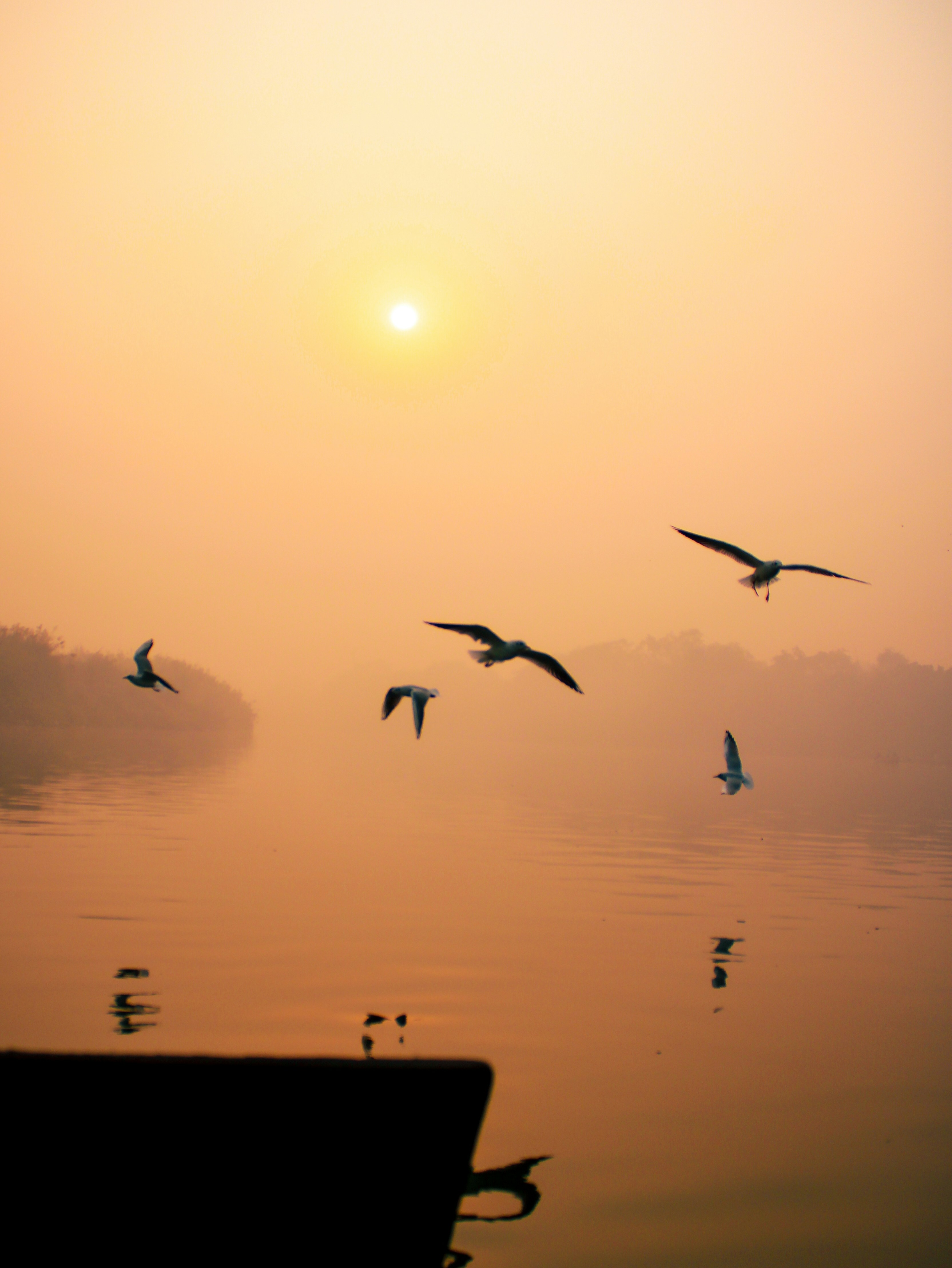 Photo by i_do_photographee