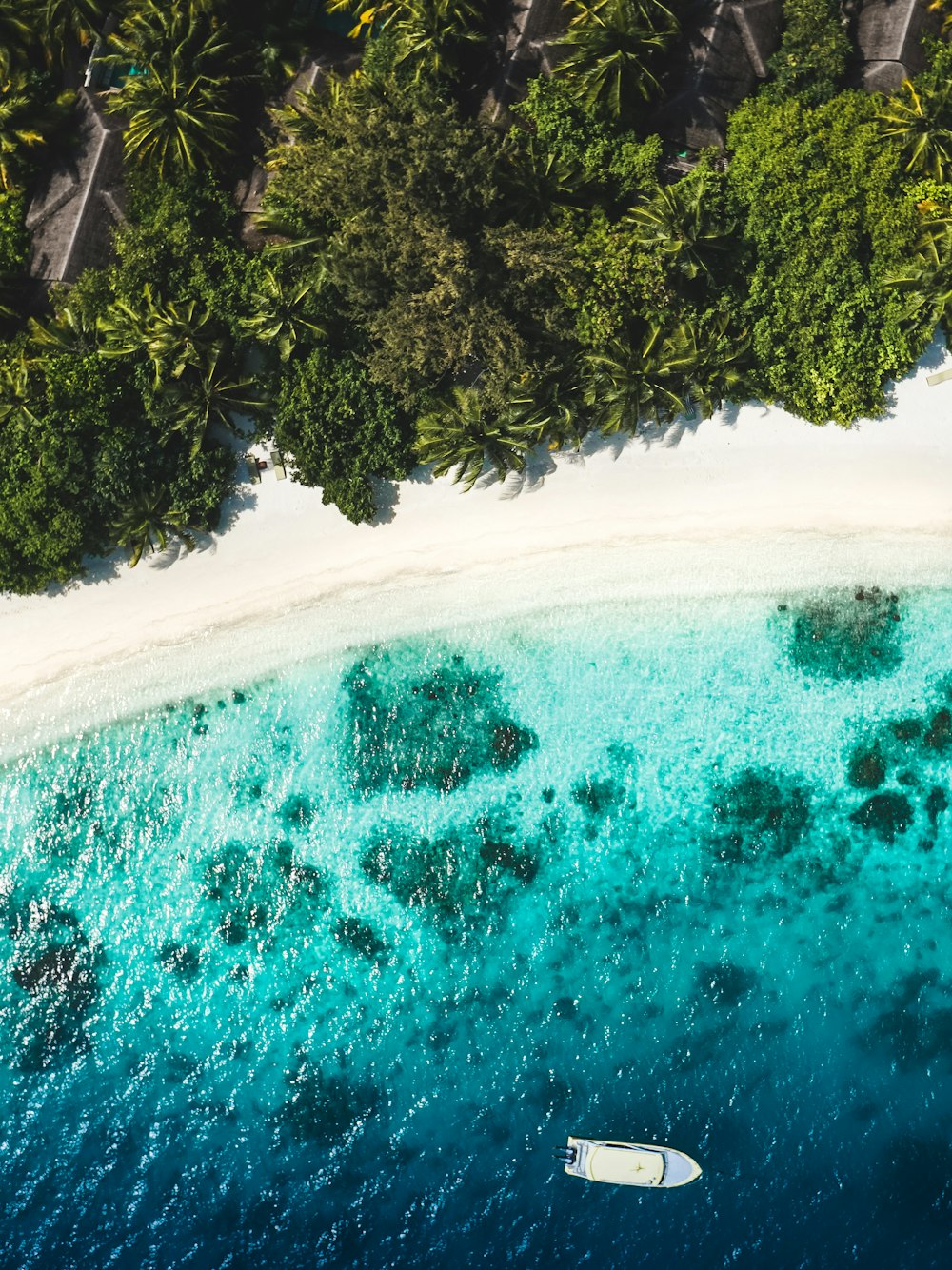 an aerial view of a beach with a boat in the water