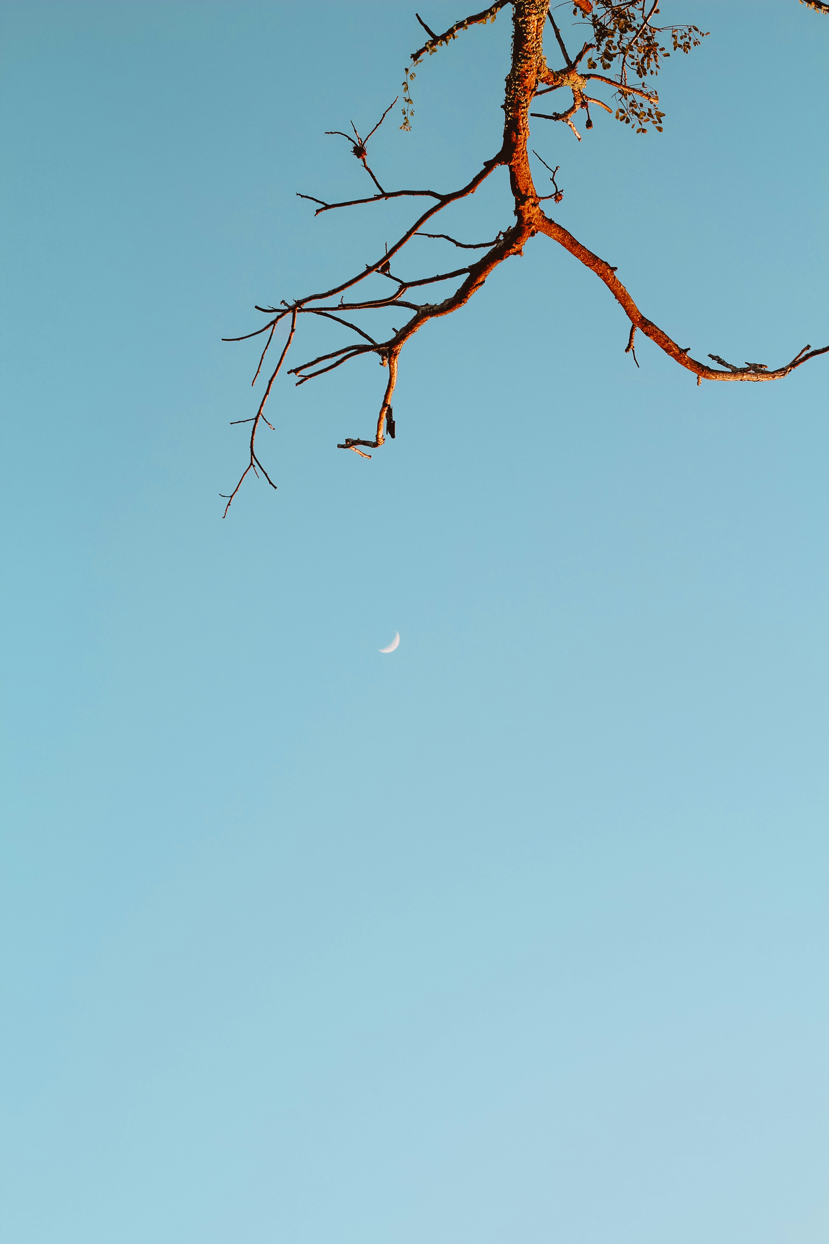 Photo by doriannycastro