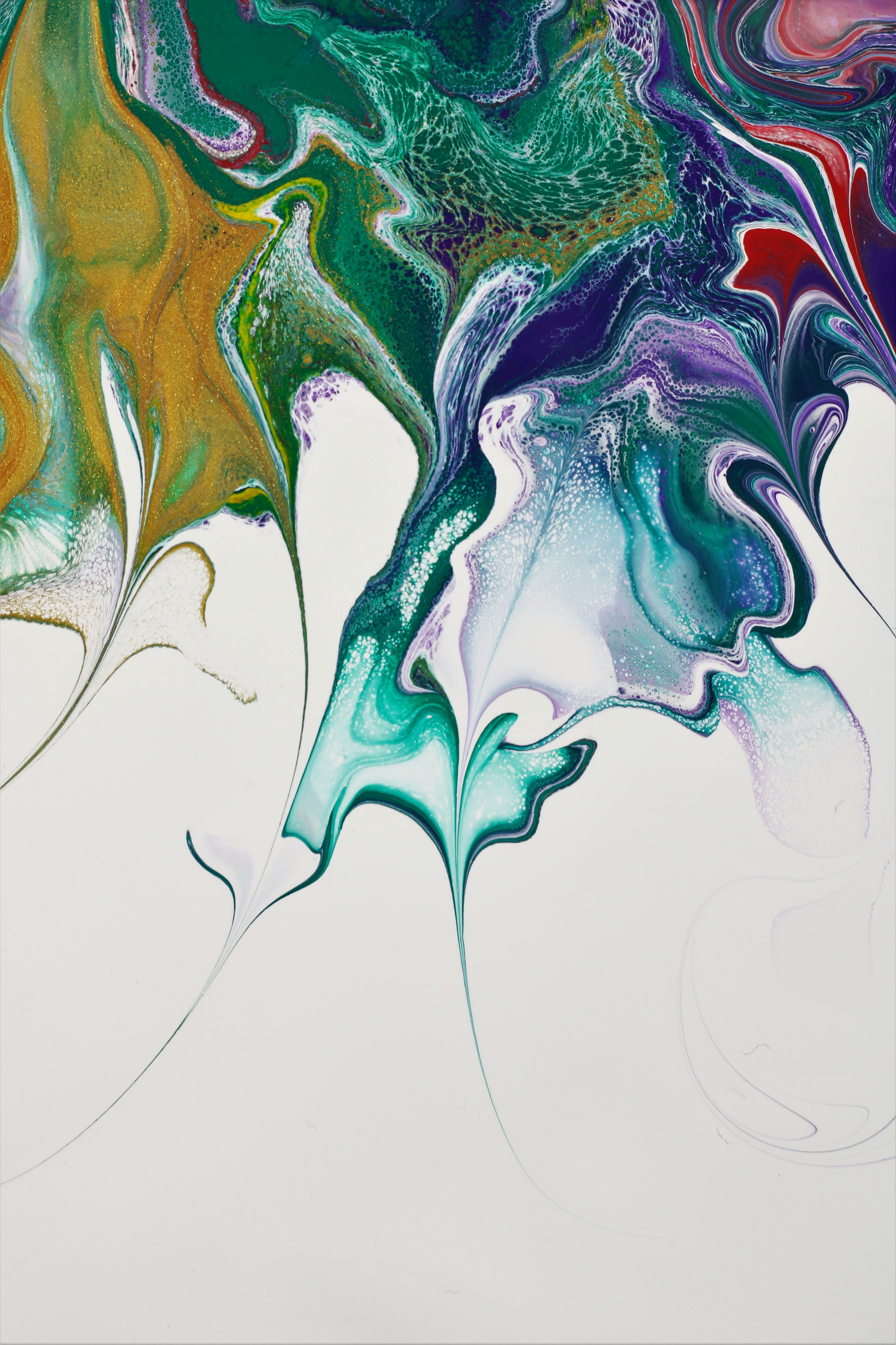 Photo by susan_wilkinson