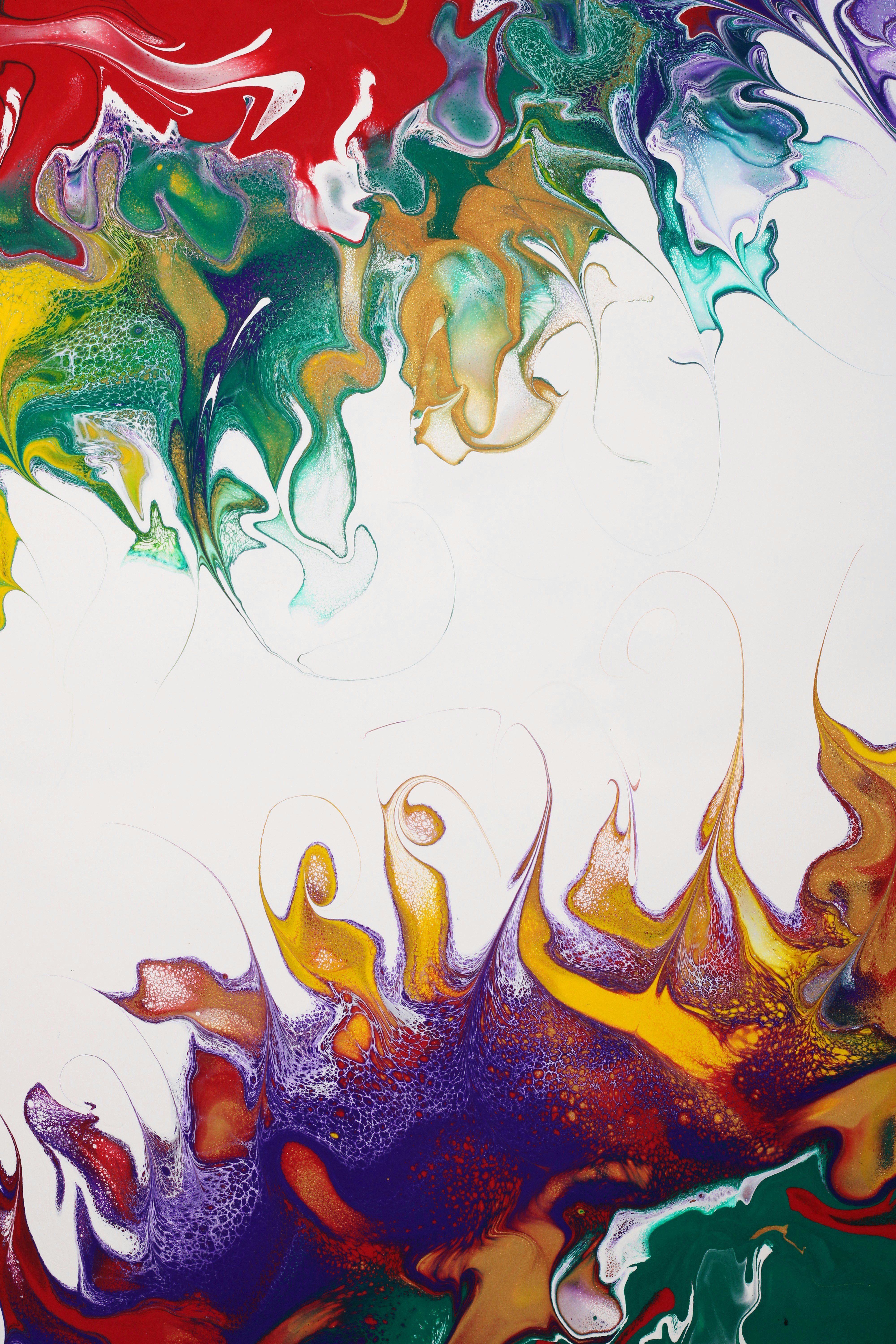 Photo by susan_wilkinson