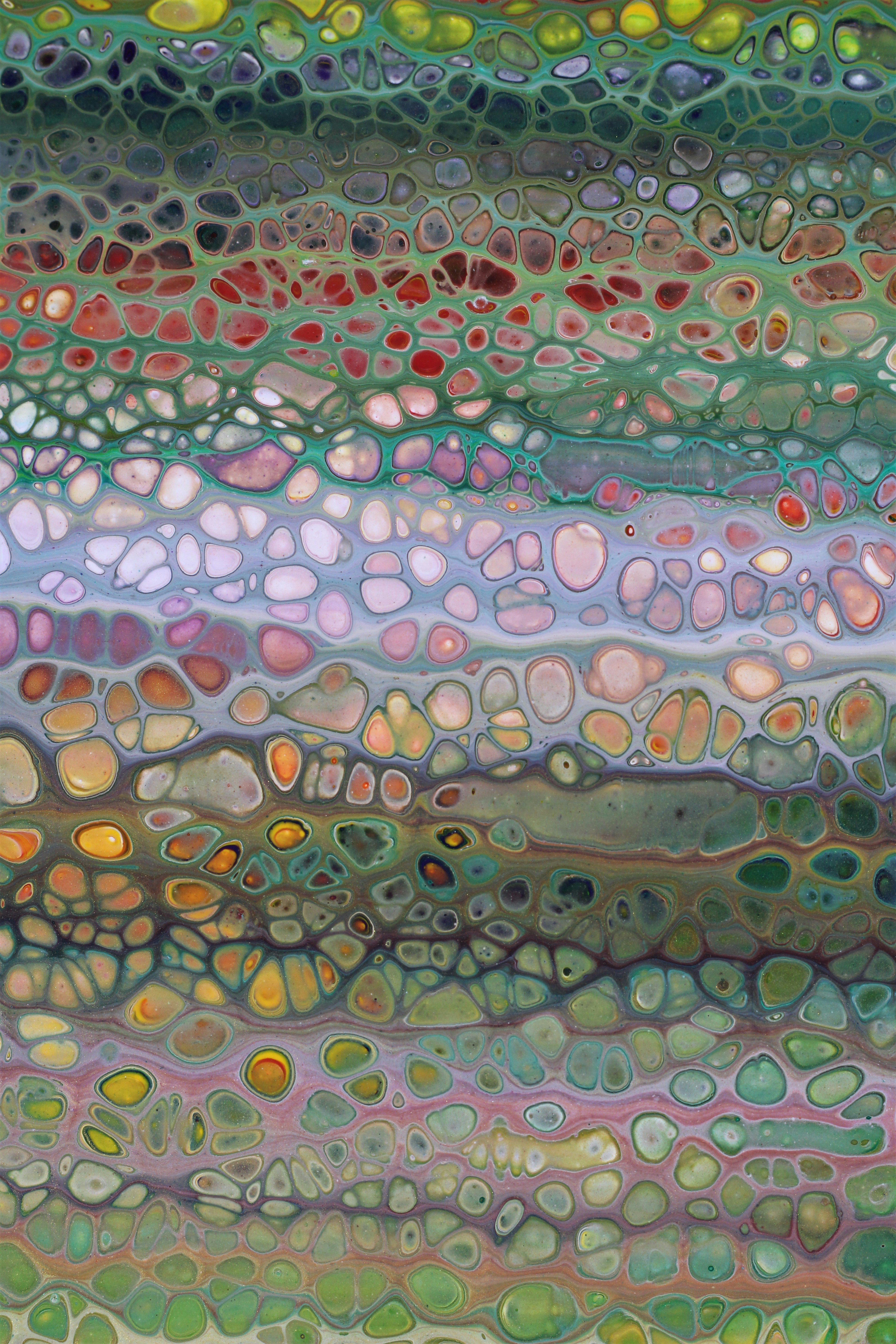 Photo by susan_wilkinson