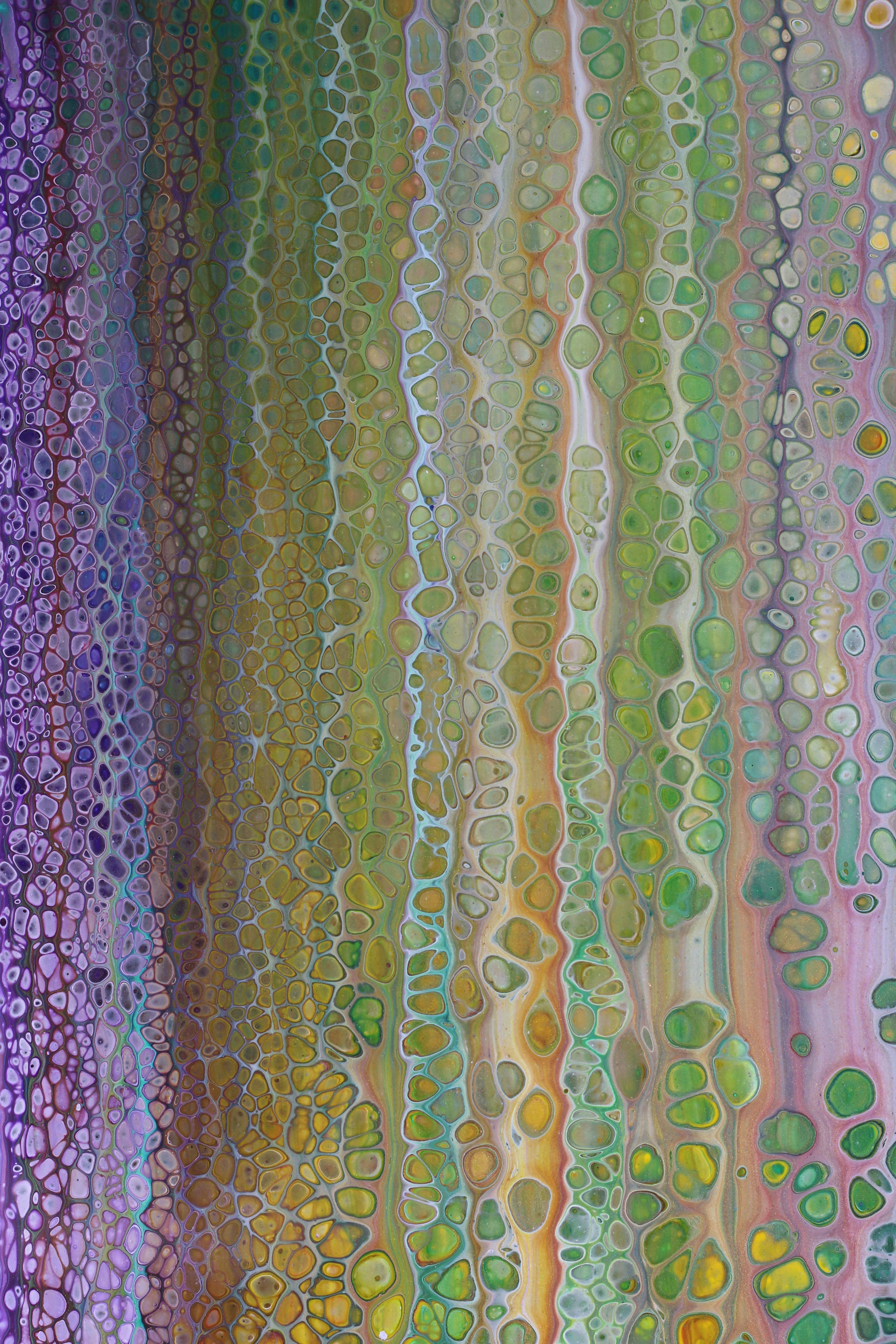 Photo by susan_wilkinson