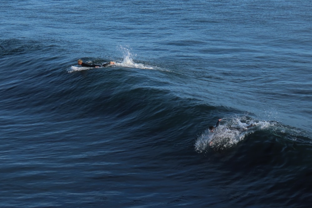 a couple of people swimming in the ocean