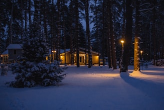 Warm light spilling from a cozy cottage nestled among snow-covered trees, inviting respite after a day of adventure.