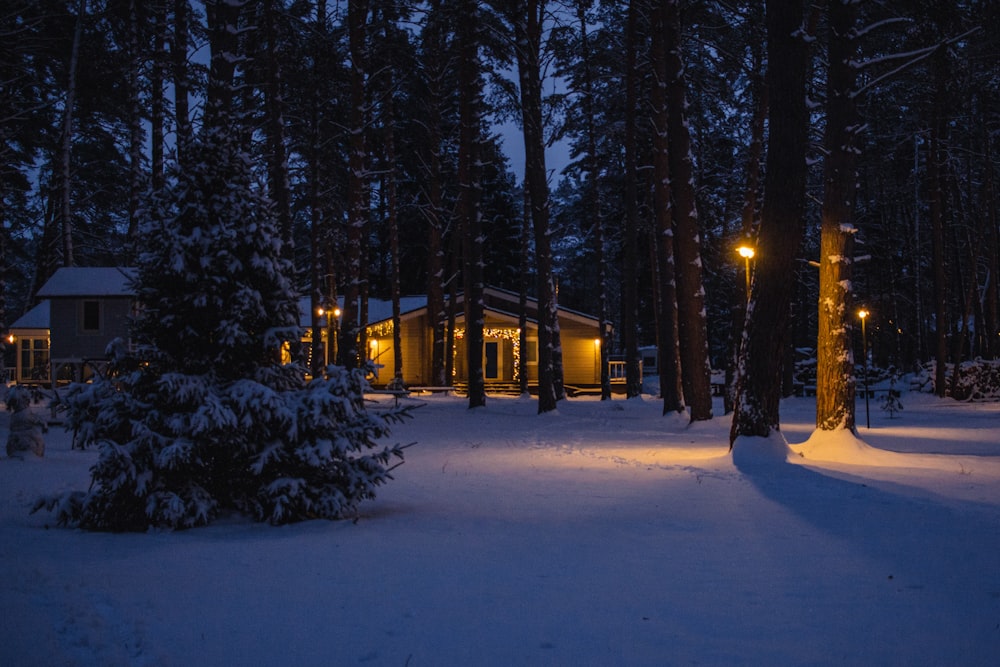 a cabin in the woods is lit up at night