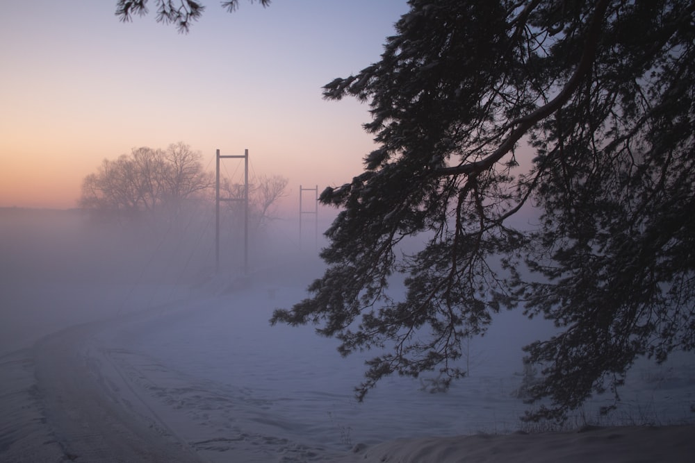 a foggy road with a telephone pole in the distance