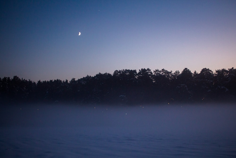 遠くに月が見える霧の夜
