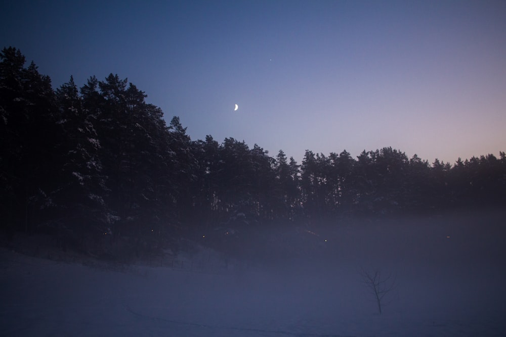 a foggy night with a full moon in the distance