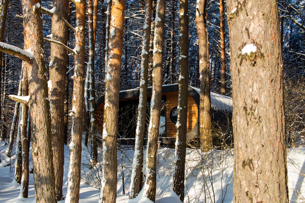 a cabin in the woods with snow on the ground