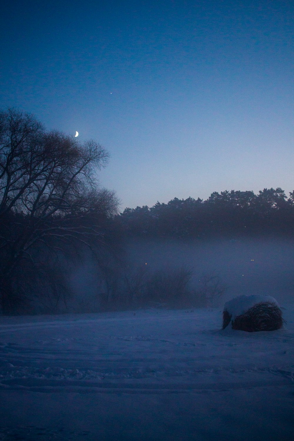 a snow covered field with trees in the background