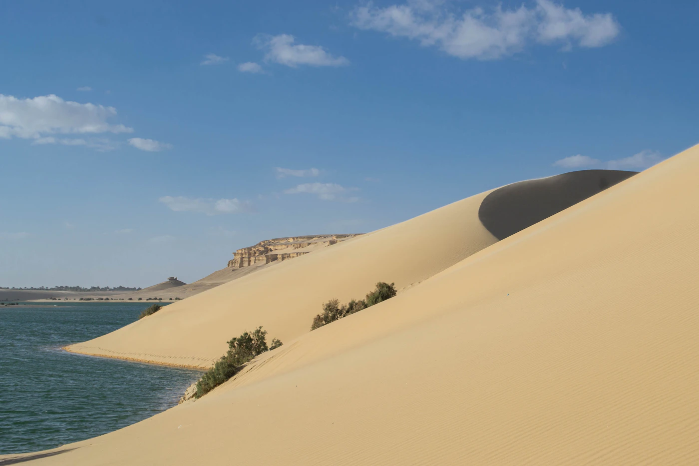 A dune running down into the water of a desert lake