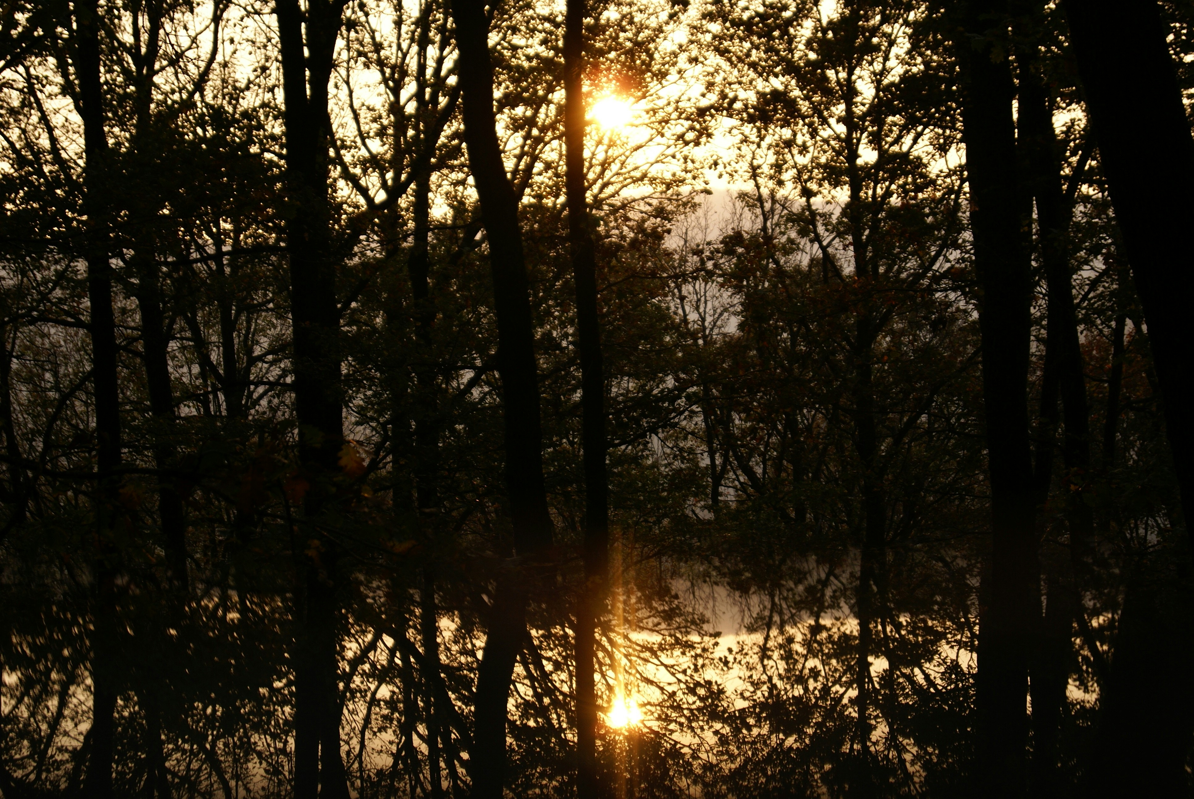 Photo by nagyviraganna