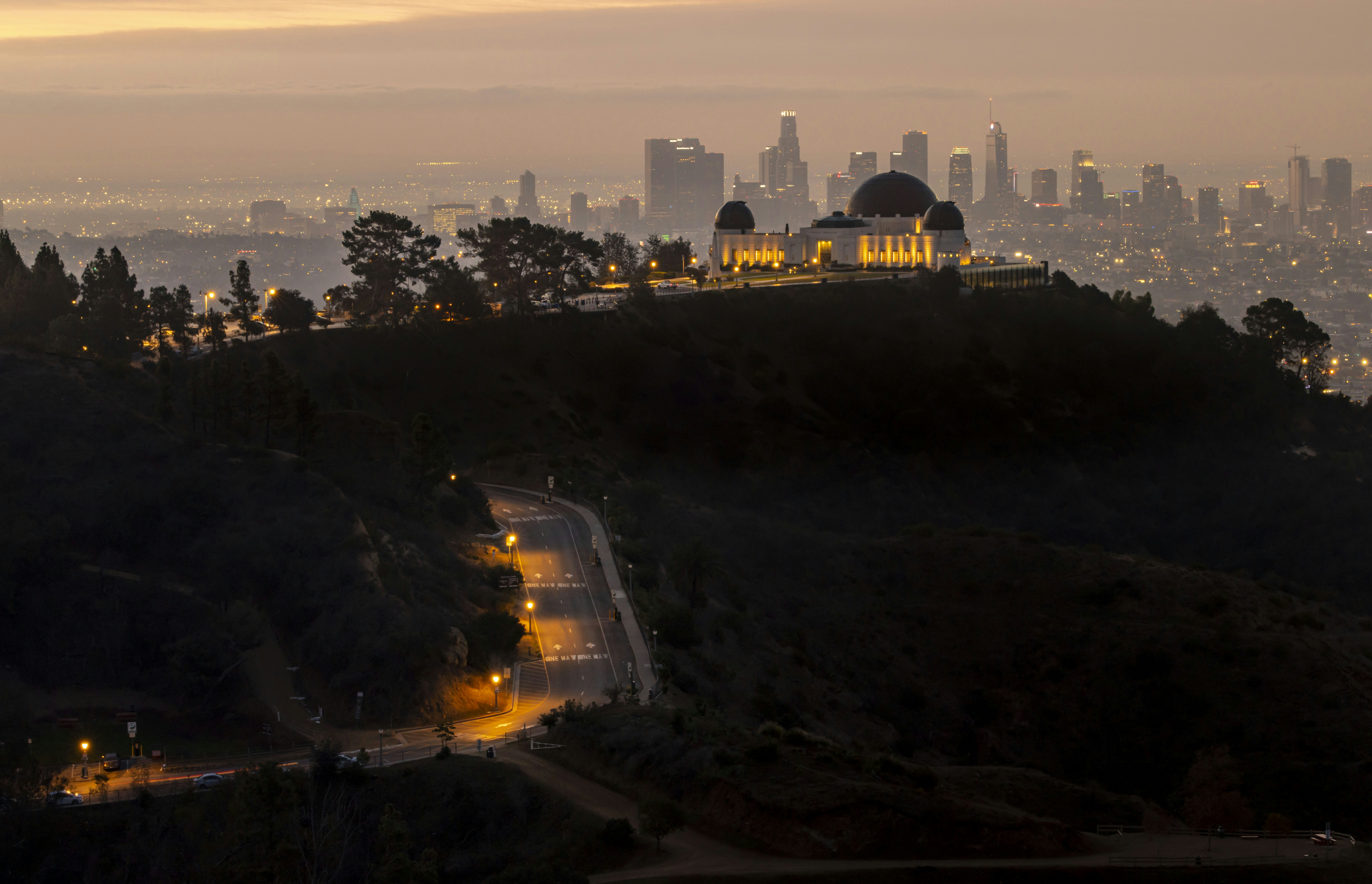 Photo by leo_visions_