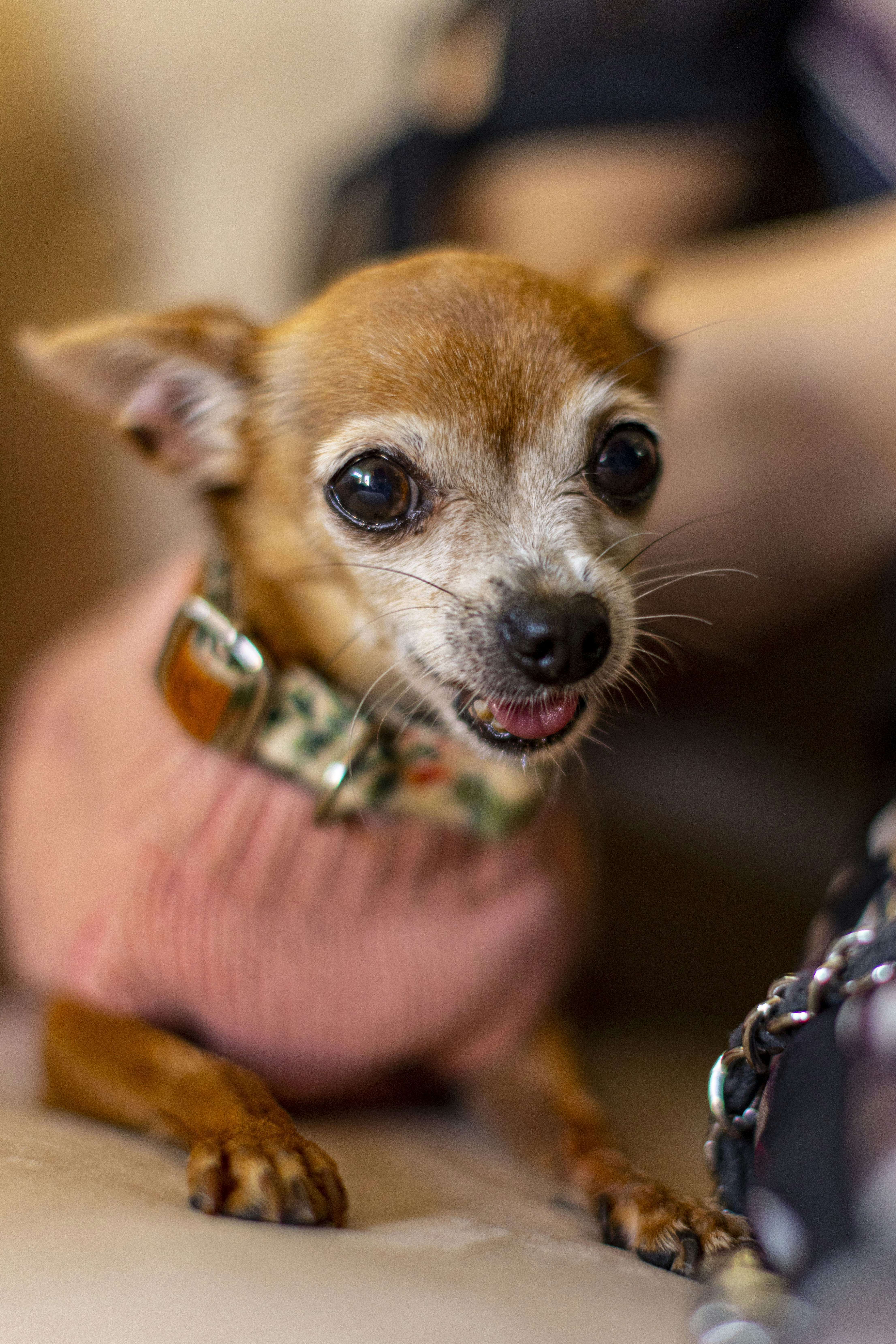 Photo by leo_visions_