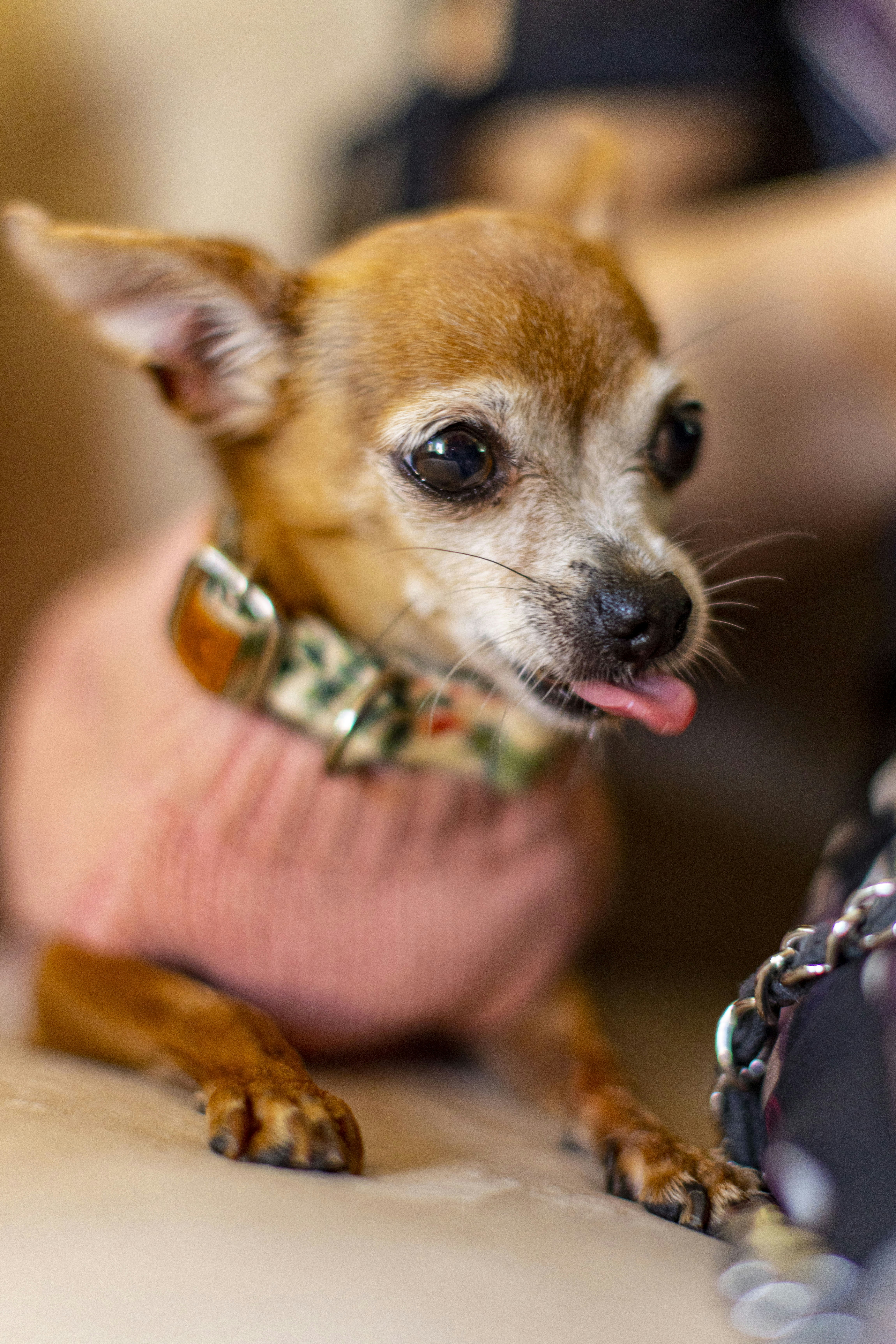 Photo by leo_visions_