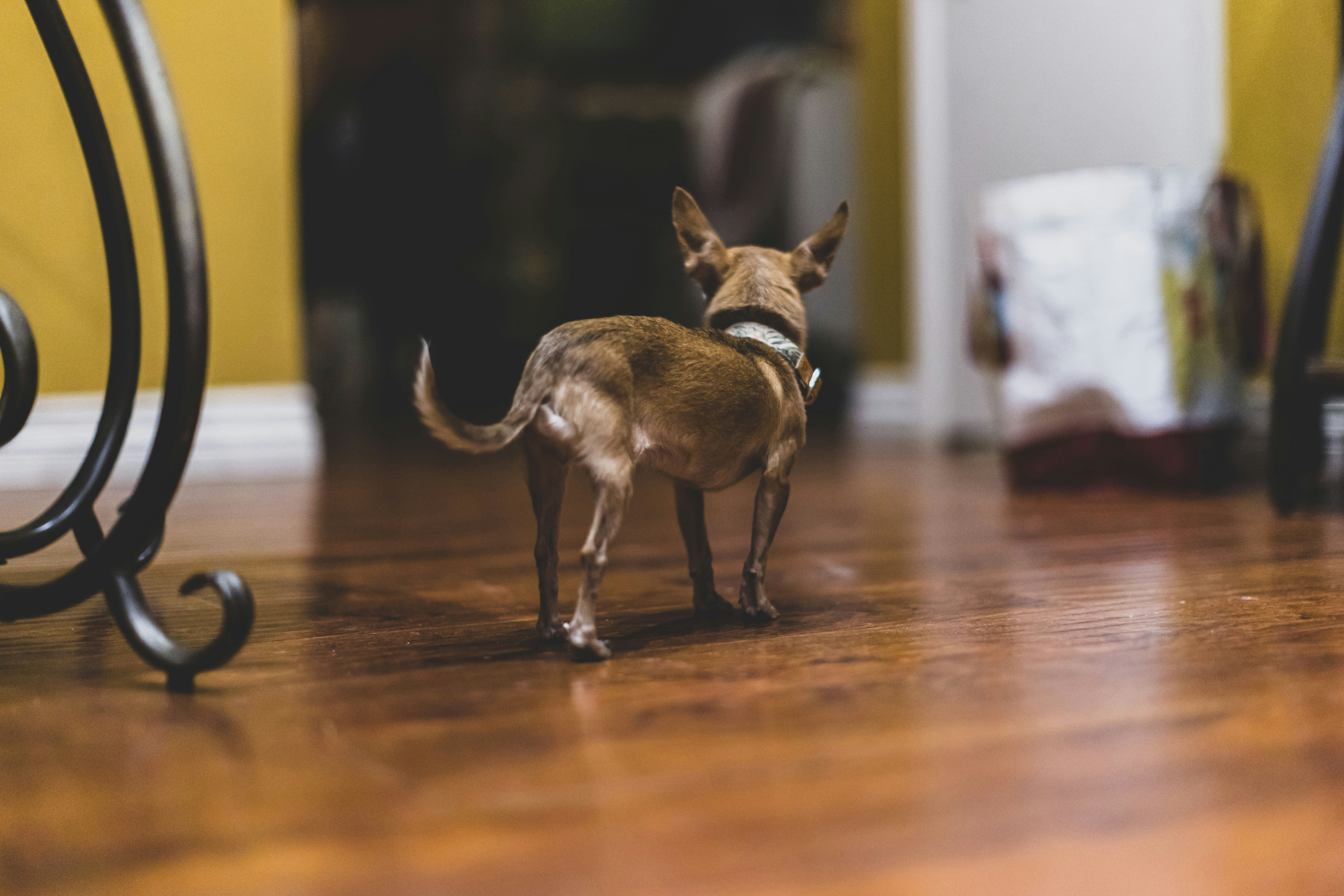 Photo by leo_visions_