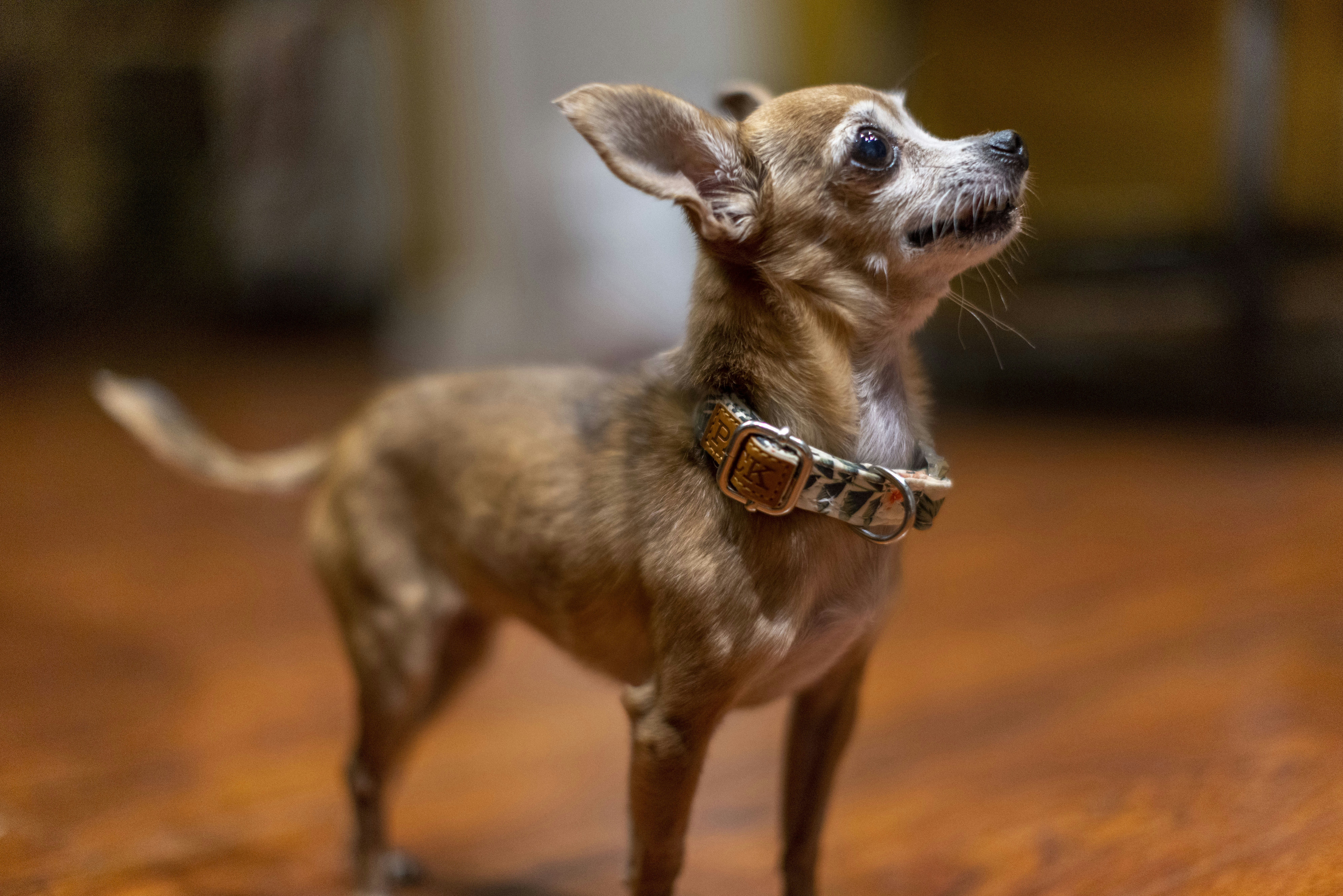 Photo by leo_visions_