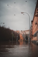 a flooded city street with birds flying over it