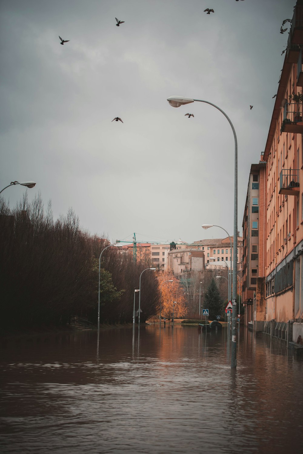 a flooded city street with birds flying over it