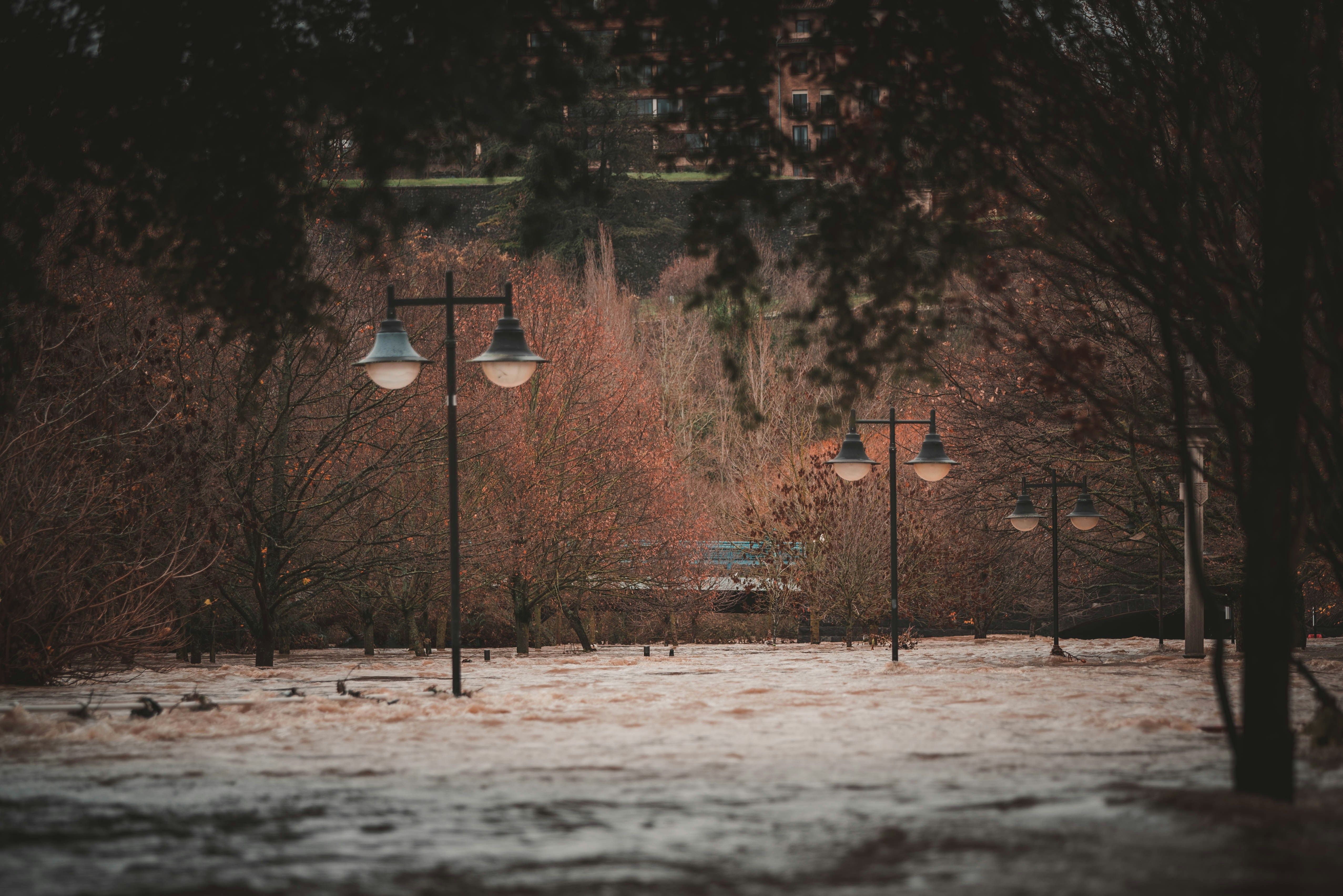 Flood Resilience in Australia: What the 2024–25 Insurance Data Means for Homeowners