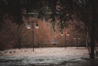 a bunch of street lights that are in the snow