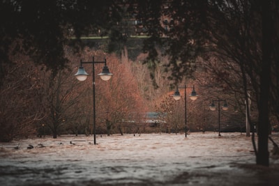 a bunch of street lights that are in the snow