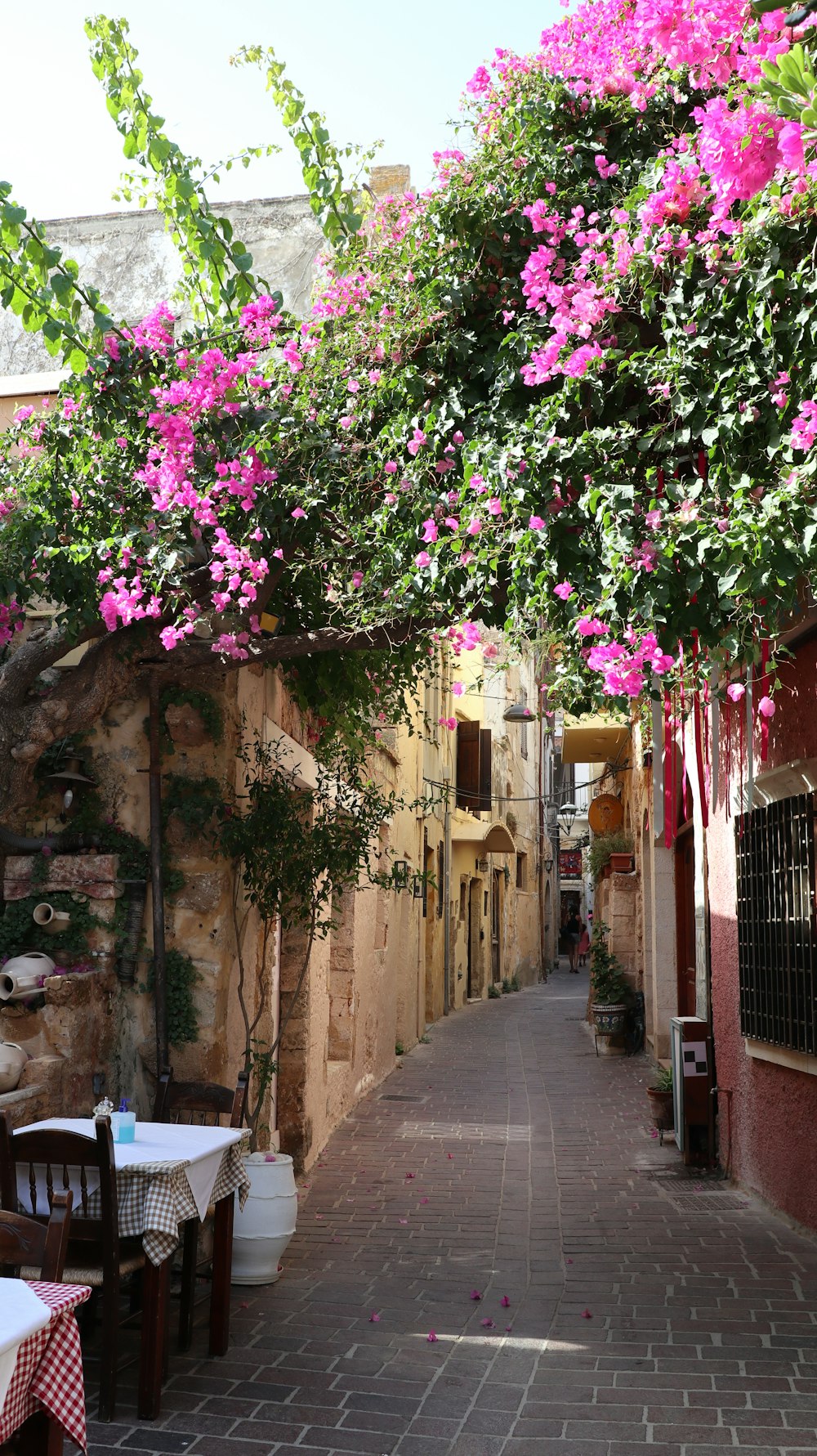 a narrow alley way with pink flowers on the trees