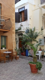 A cozy courtyard with Mediterranean plants and natural stone flooring.