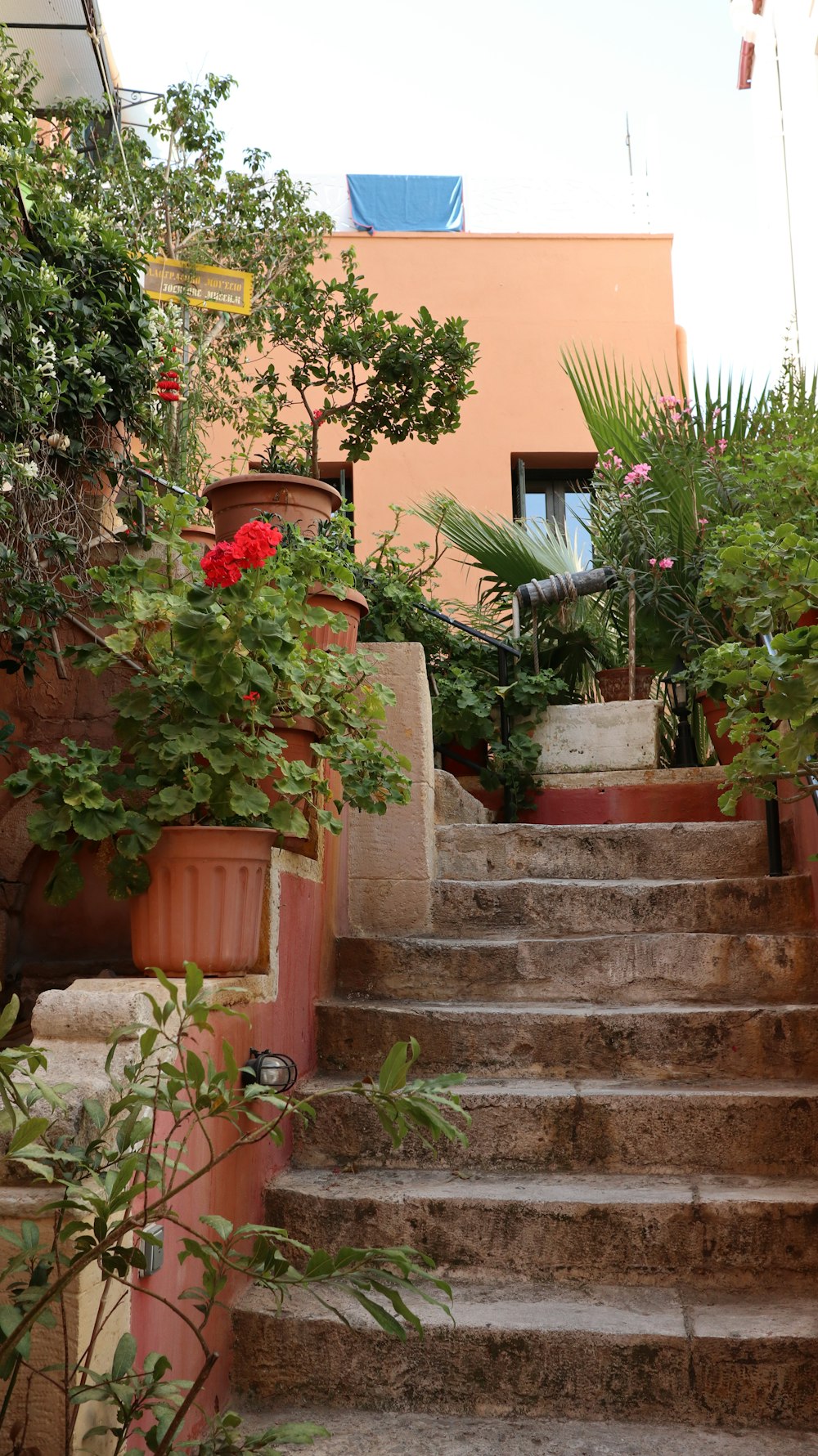 a set of steps leading up to a building