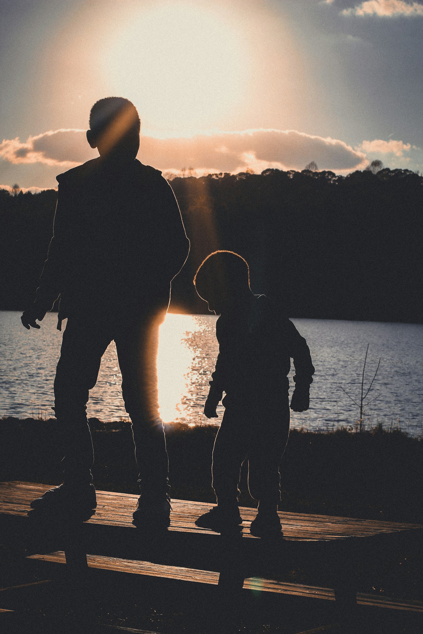father child hands park evening