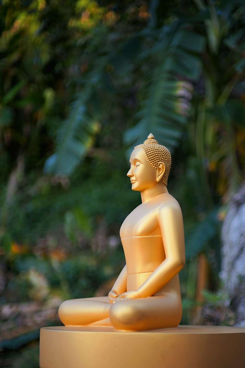 uma estátua de um buda sentado em uma posição de meditação