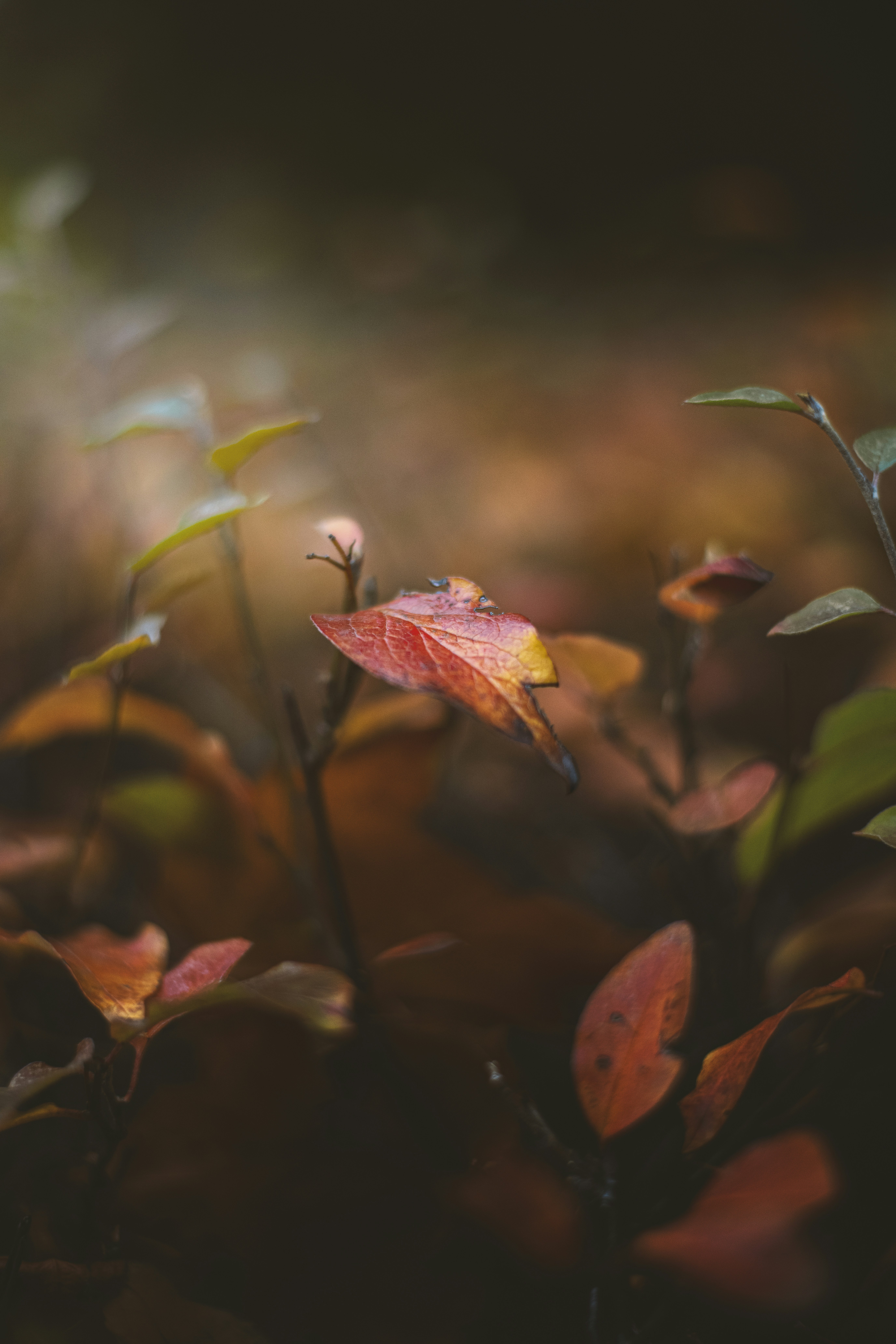 Photo by steven3466