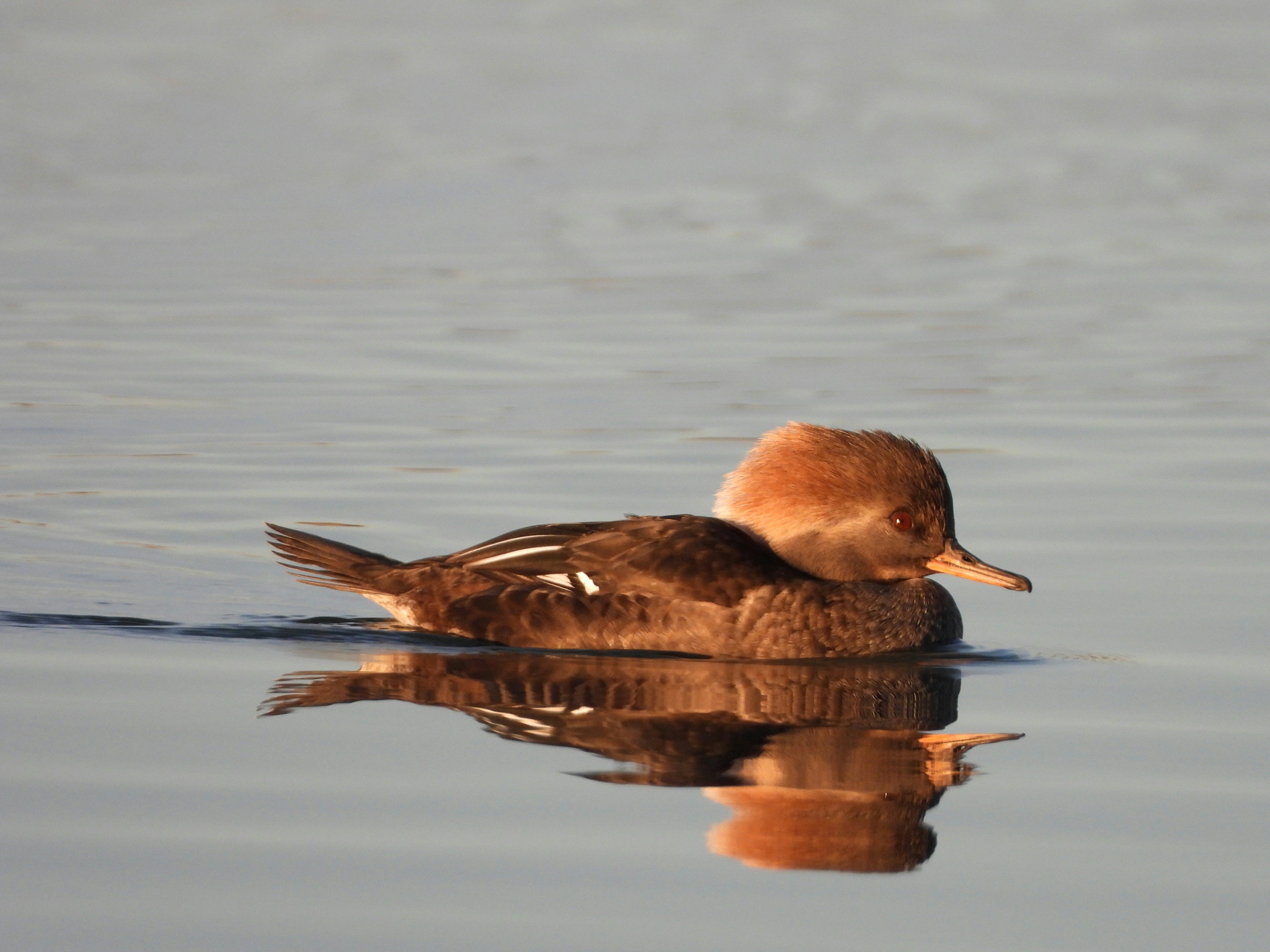 Photo by evergreene24