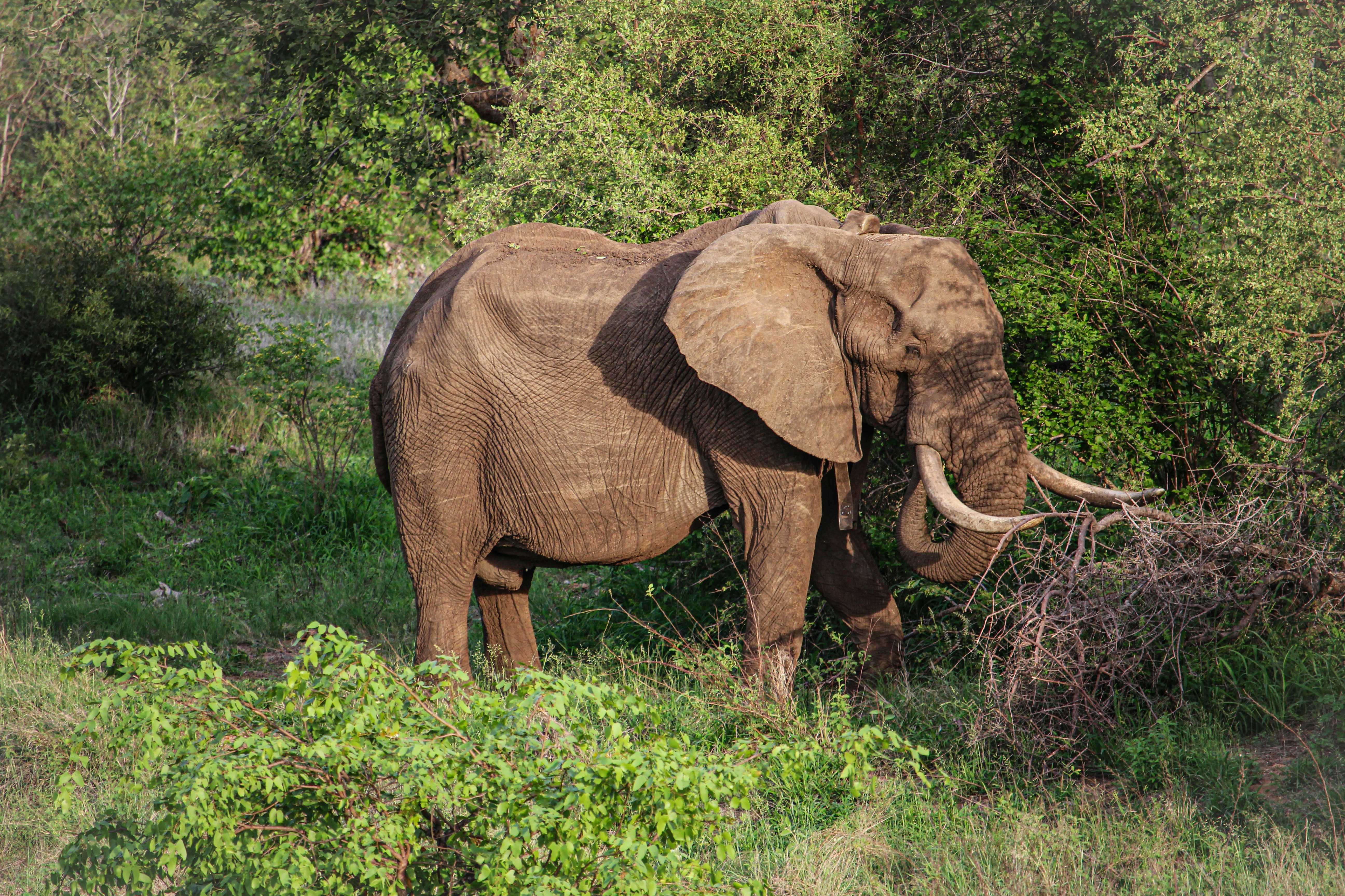 Photo by angelokarabo053