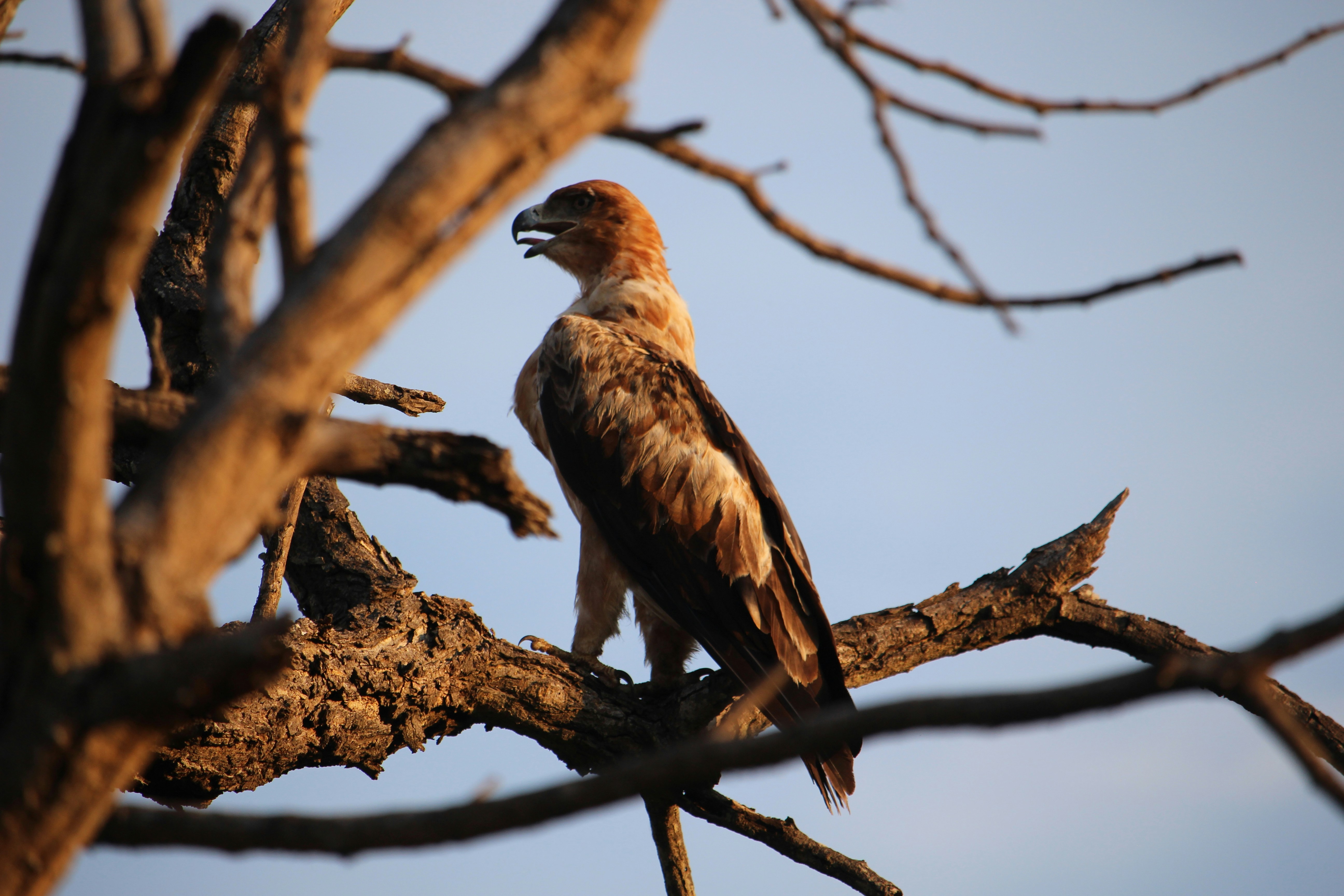 Photo by angelokarabo053