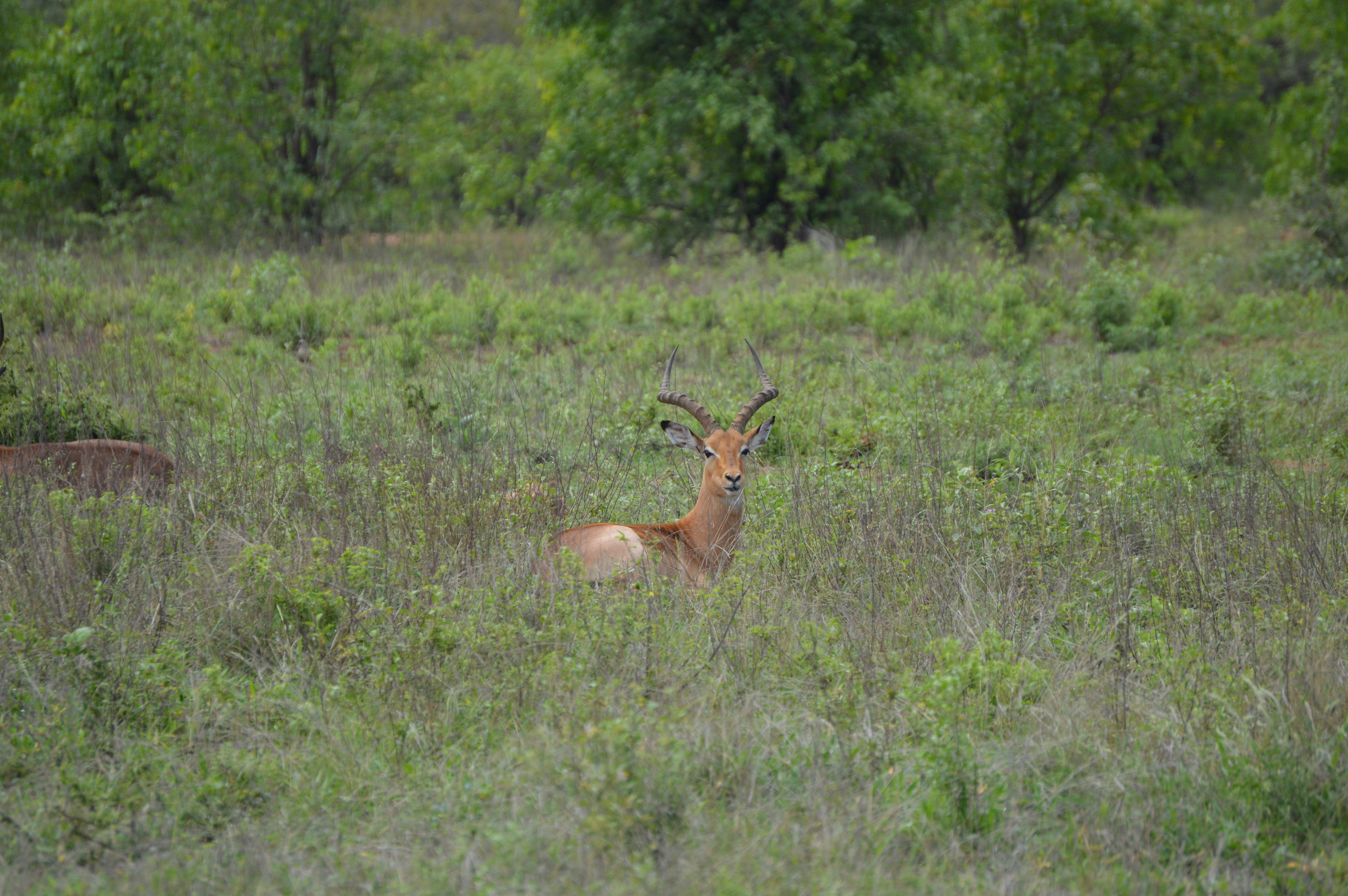 Photo by angelokarabo053