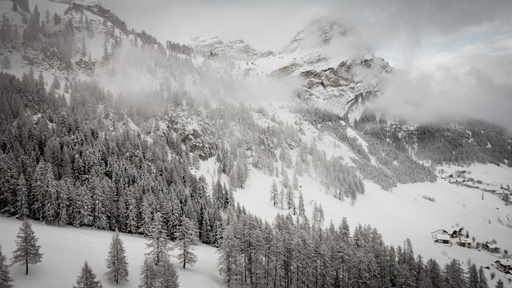 a mountain covered in snow surrounded by trees