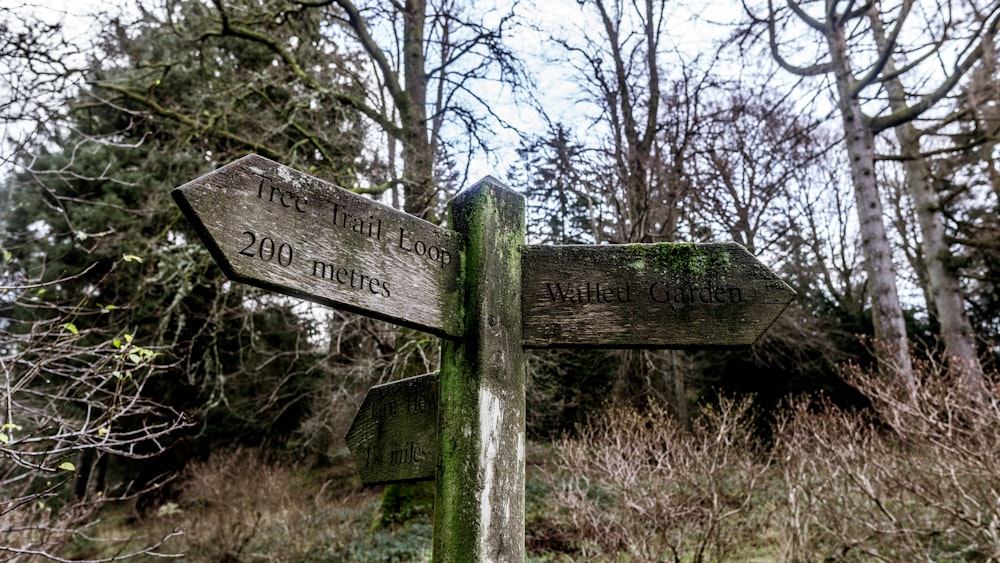 two wooden signs pointing in opposite directions in a wooded area