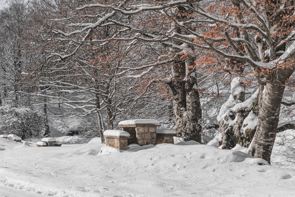 a pile of snow