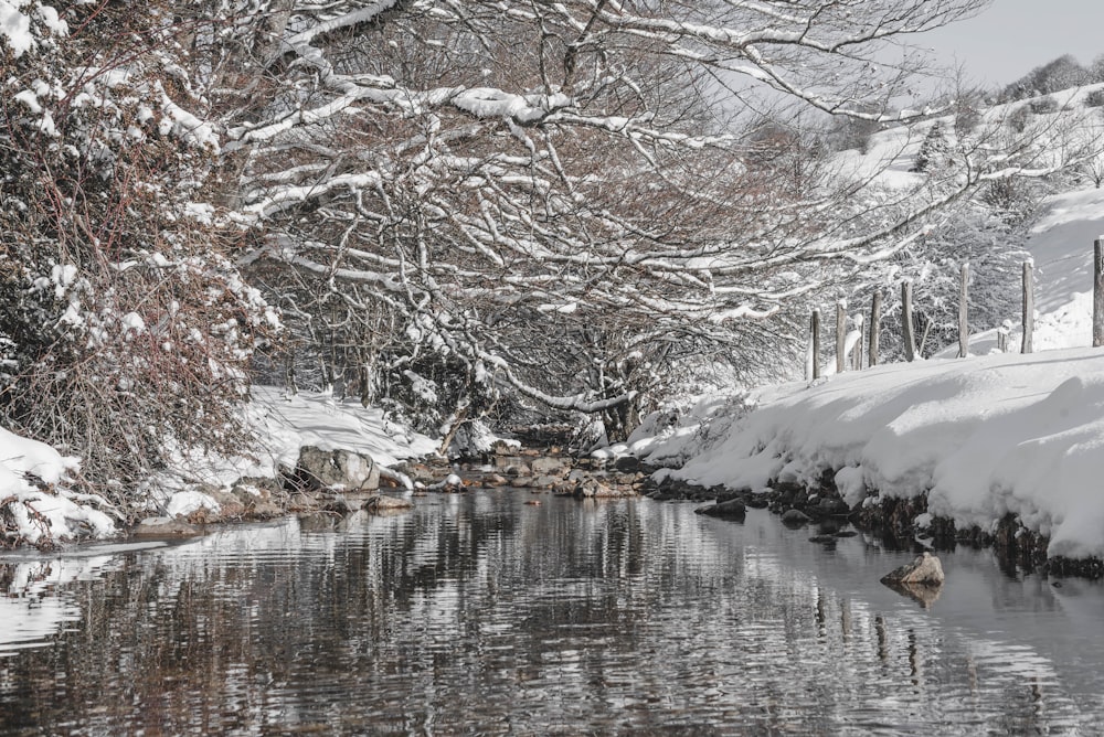 a lake surrounded by snow