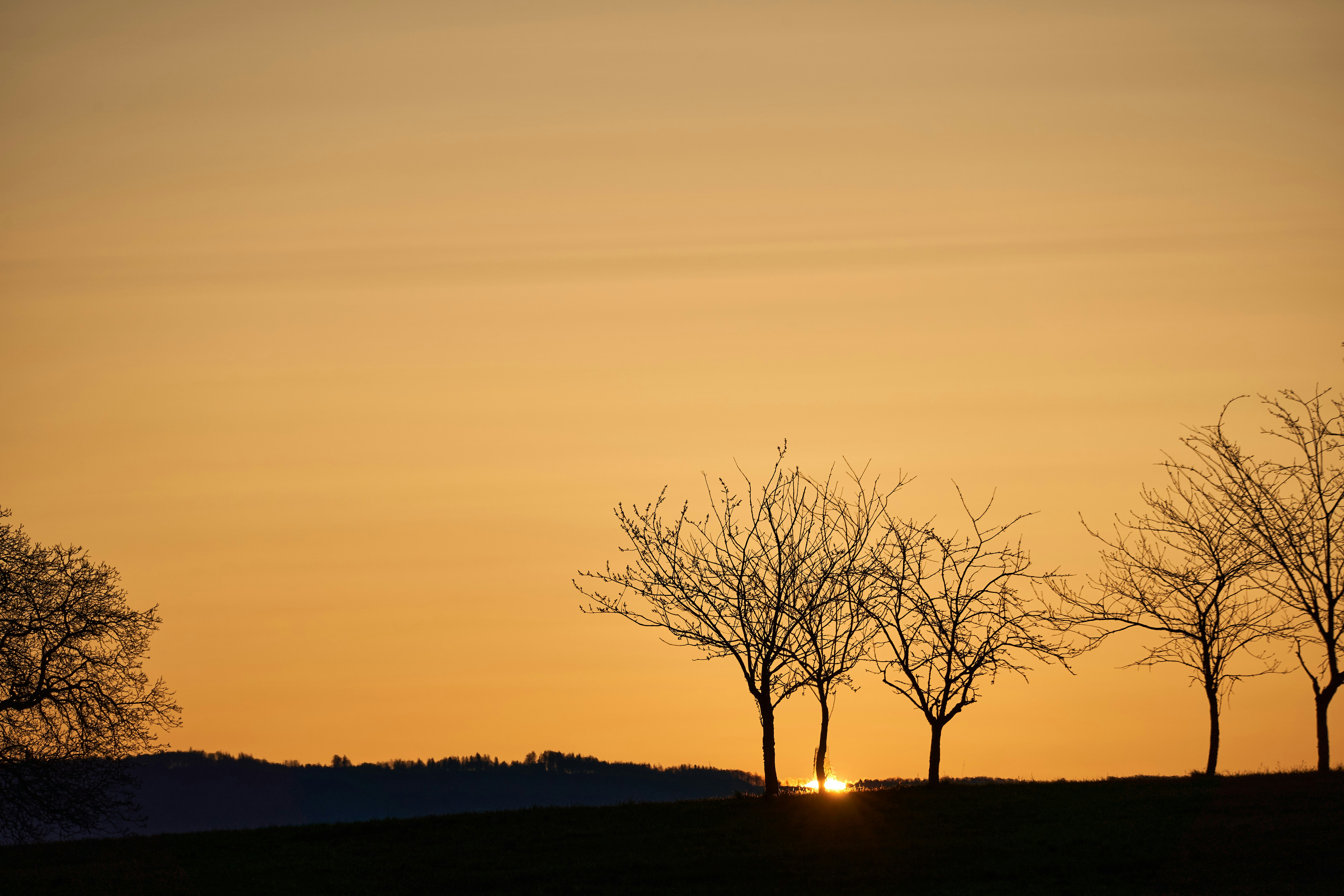 Photo by wolfgang_hasselmann