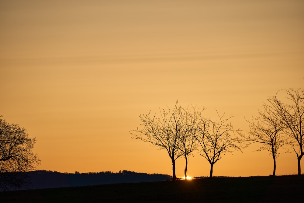 the sun is setting behind the trees in the field