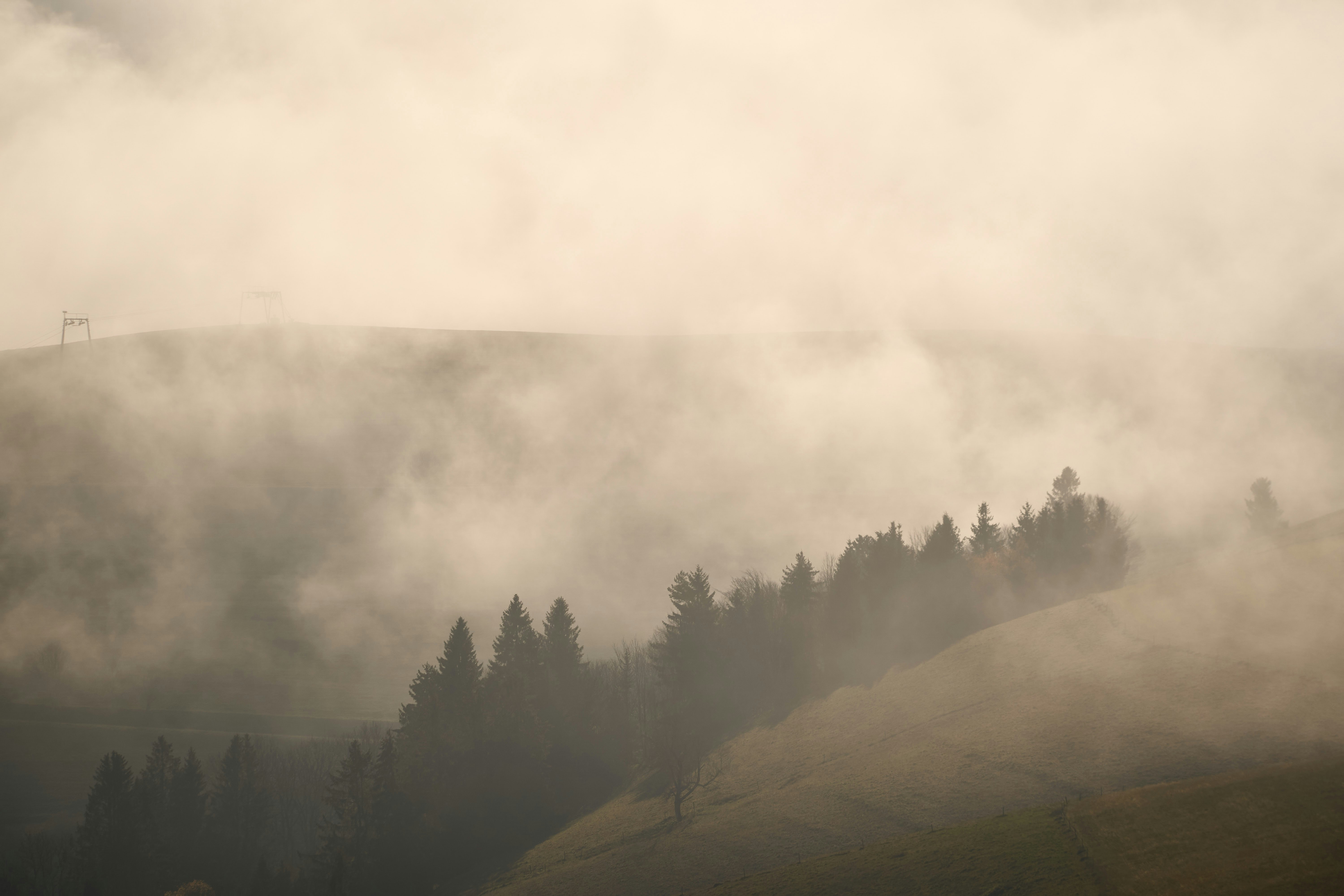 Photo by wolfgang_hasselmann