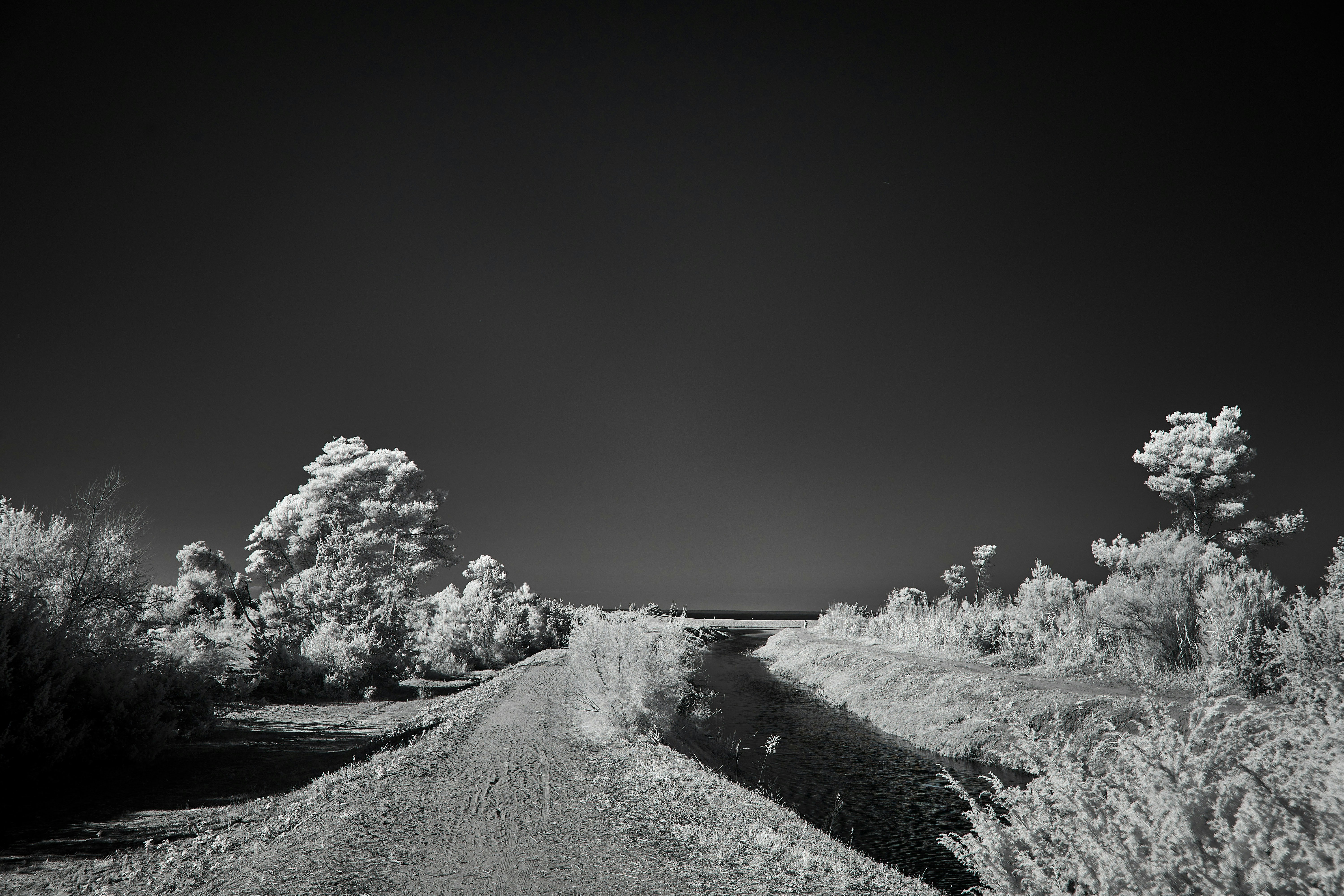 Photo by wolfgang_hasselmann