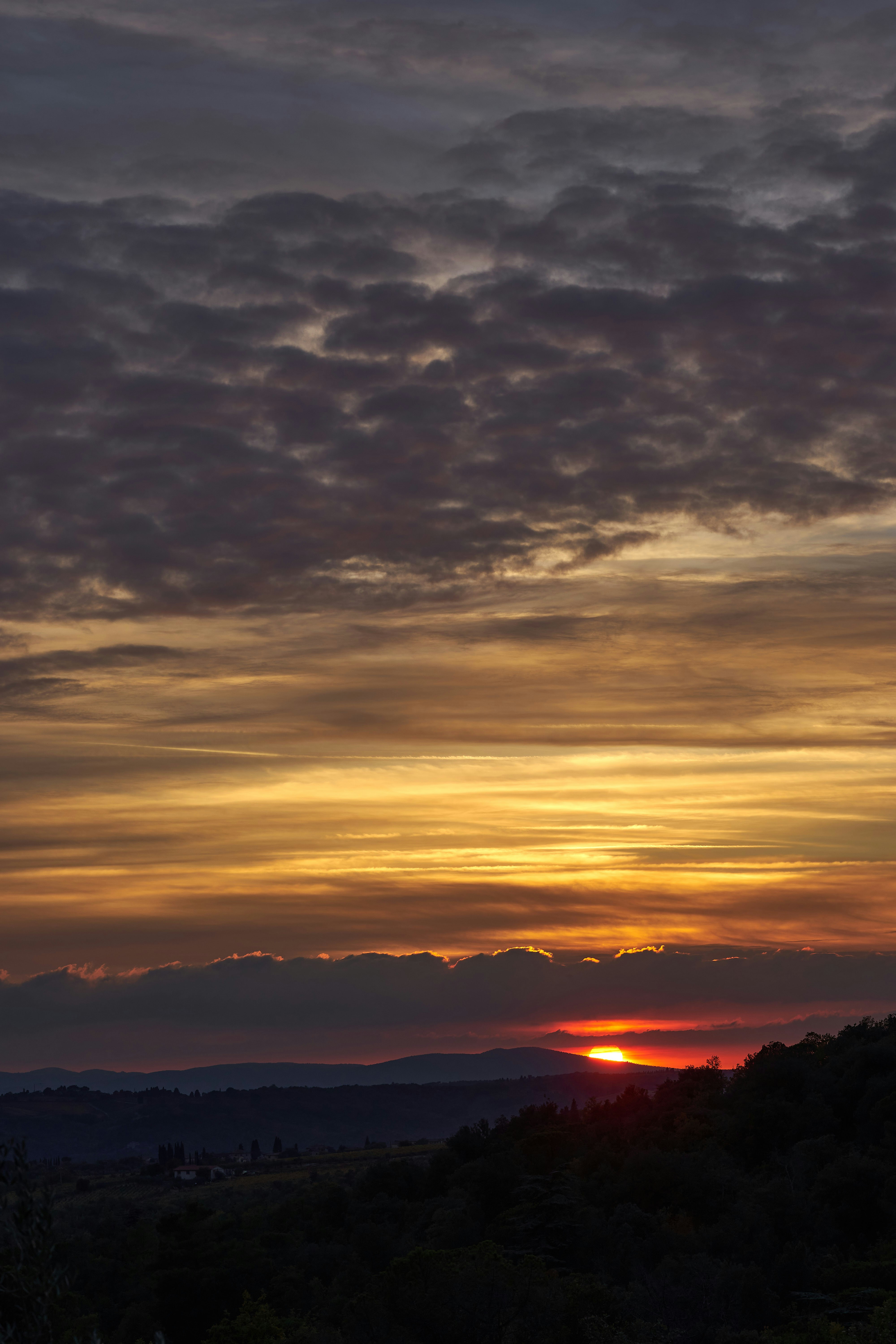 Photo by wolfgang_hasselmann