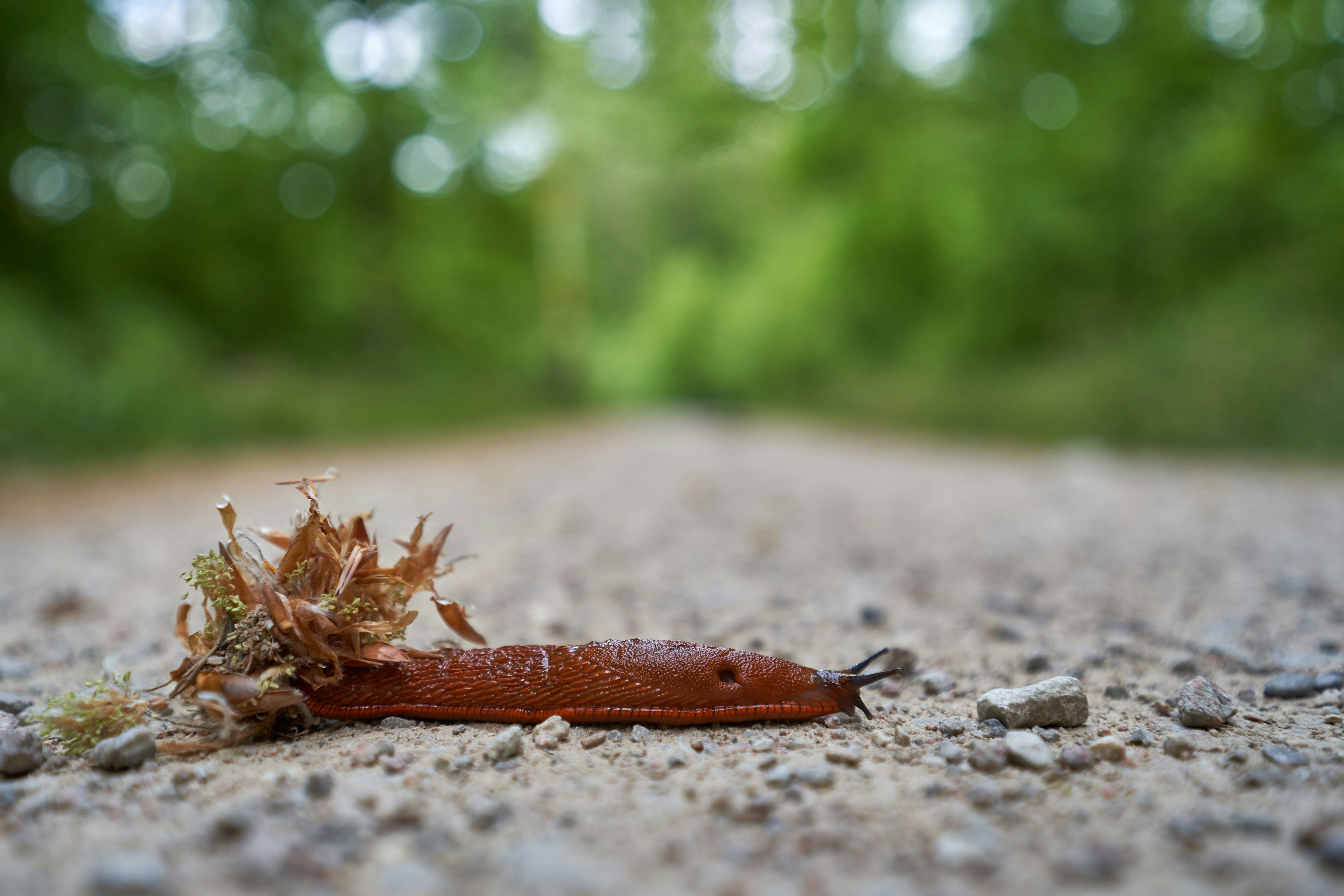 Photo by wolfgang_hasselmann