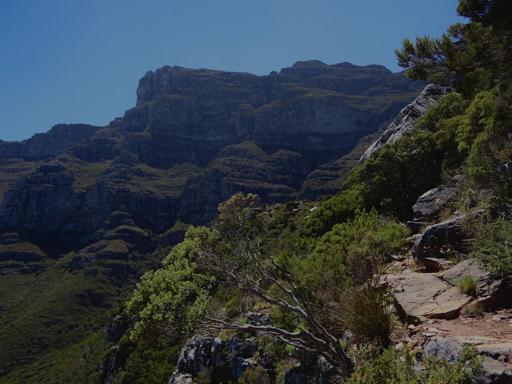 a view of a mountain range with trees and rocks